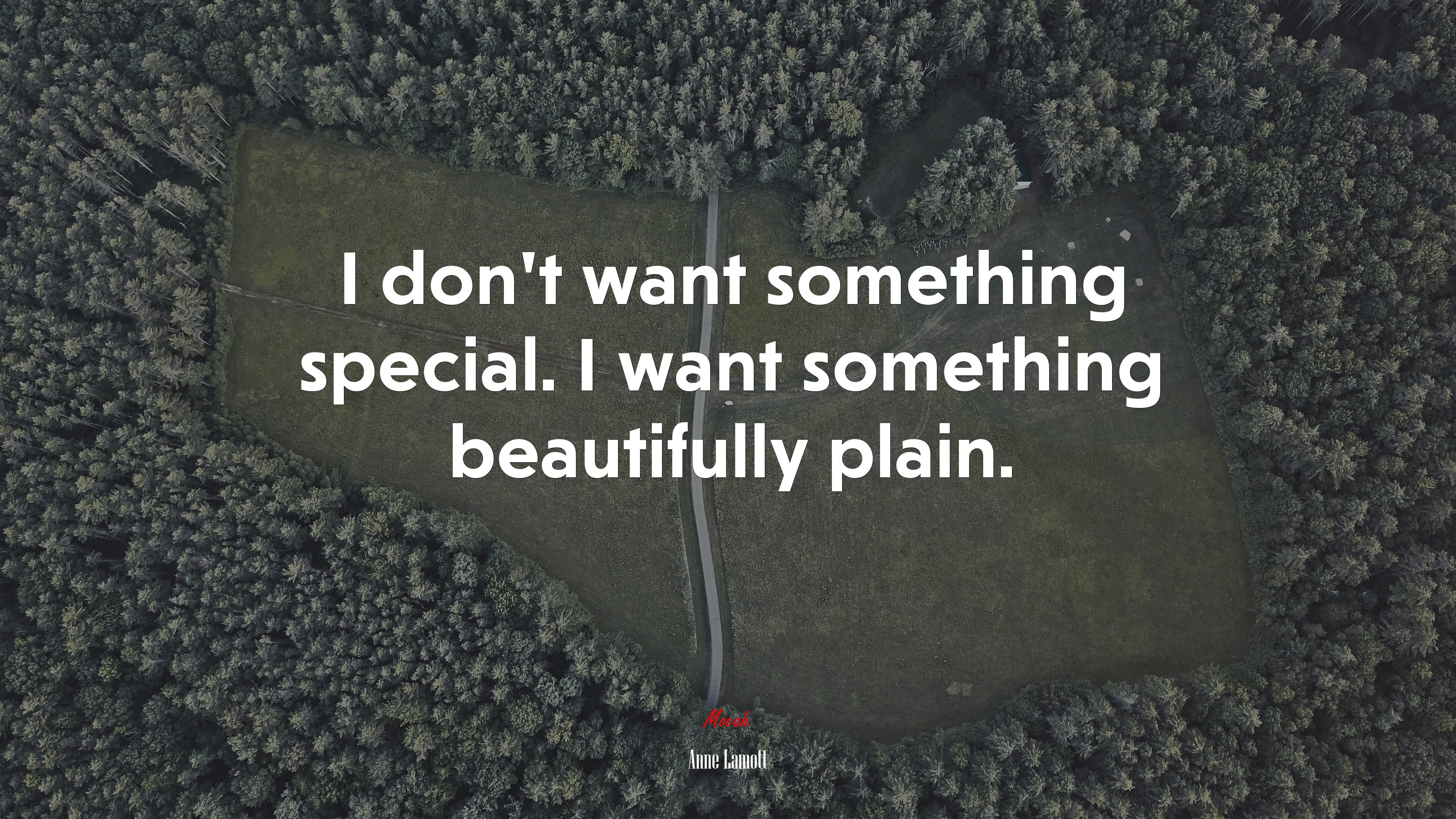 I don’t want something special. I want something beautifully plain. | Anne Lamott quote HD Wallpaper