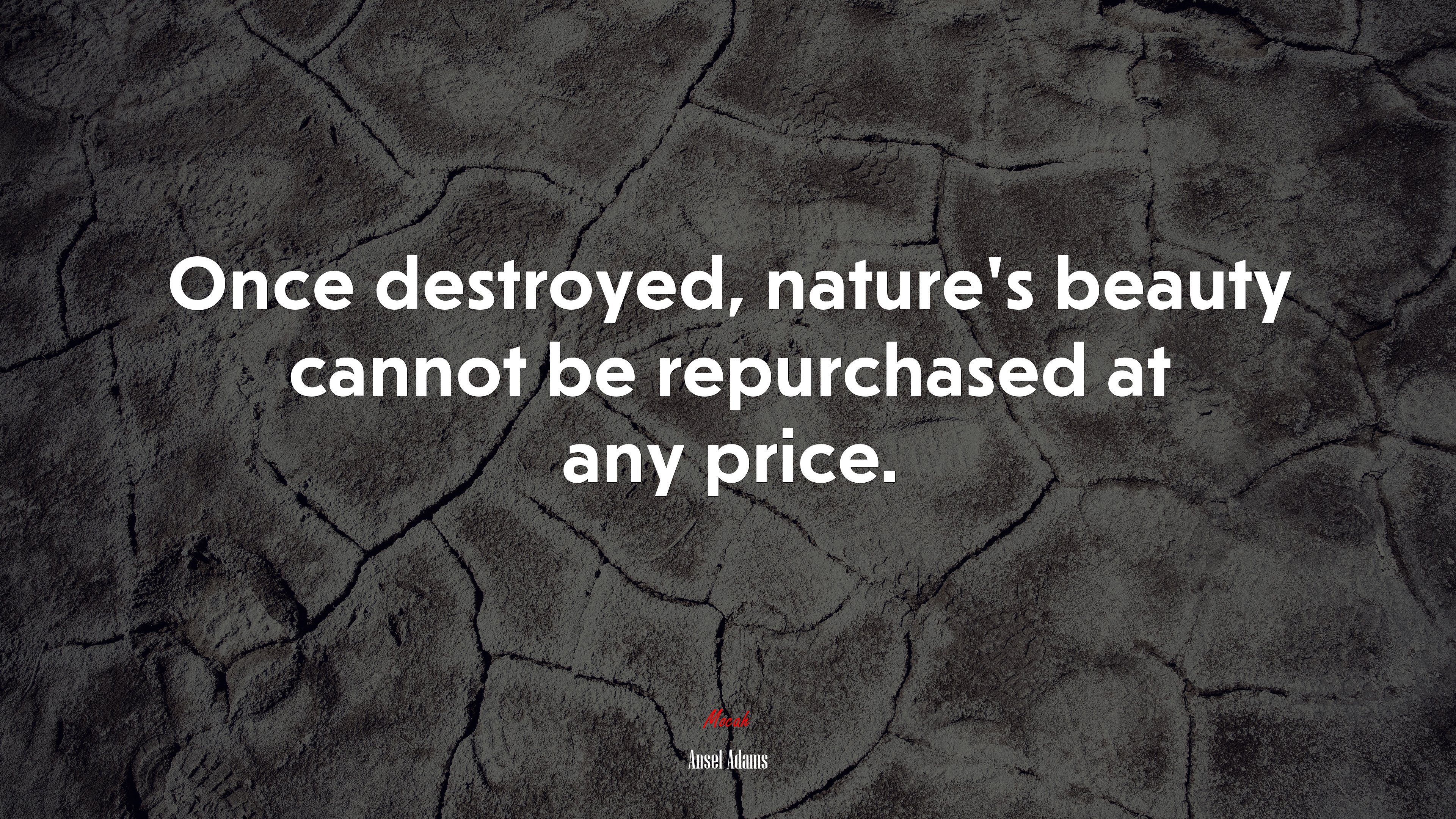 Once destroyed, nature’s beauty cannot be repurchased at any price. | Ansel Adams quote HD Wallpaper