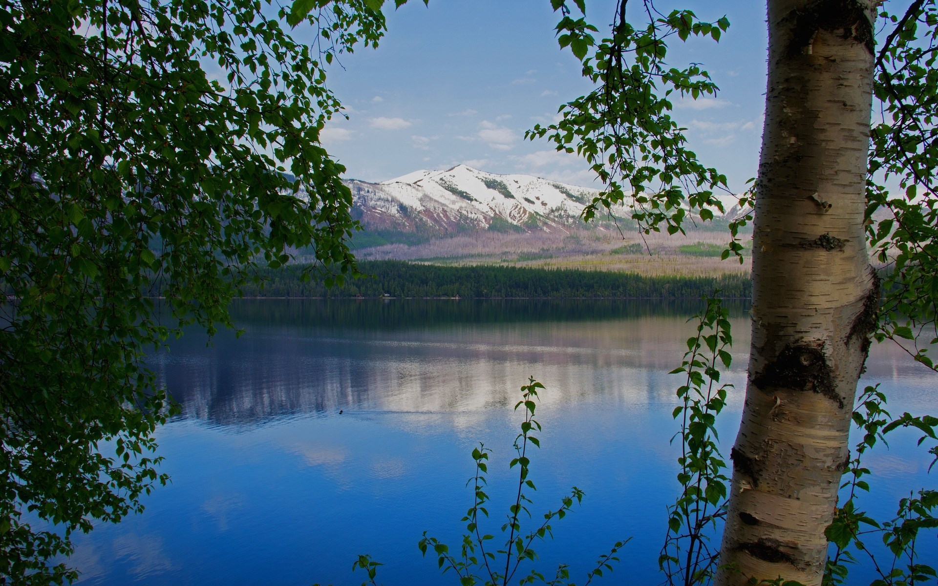 Snow-capped mountains reflected in a calm lake framed by trees HD Wallpaper