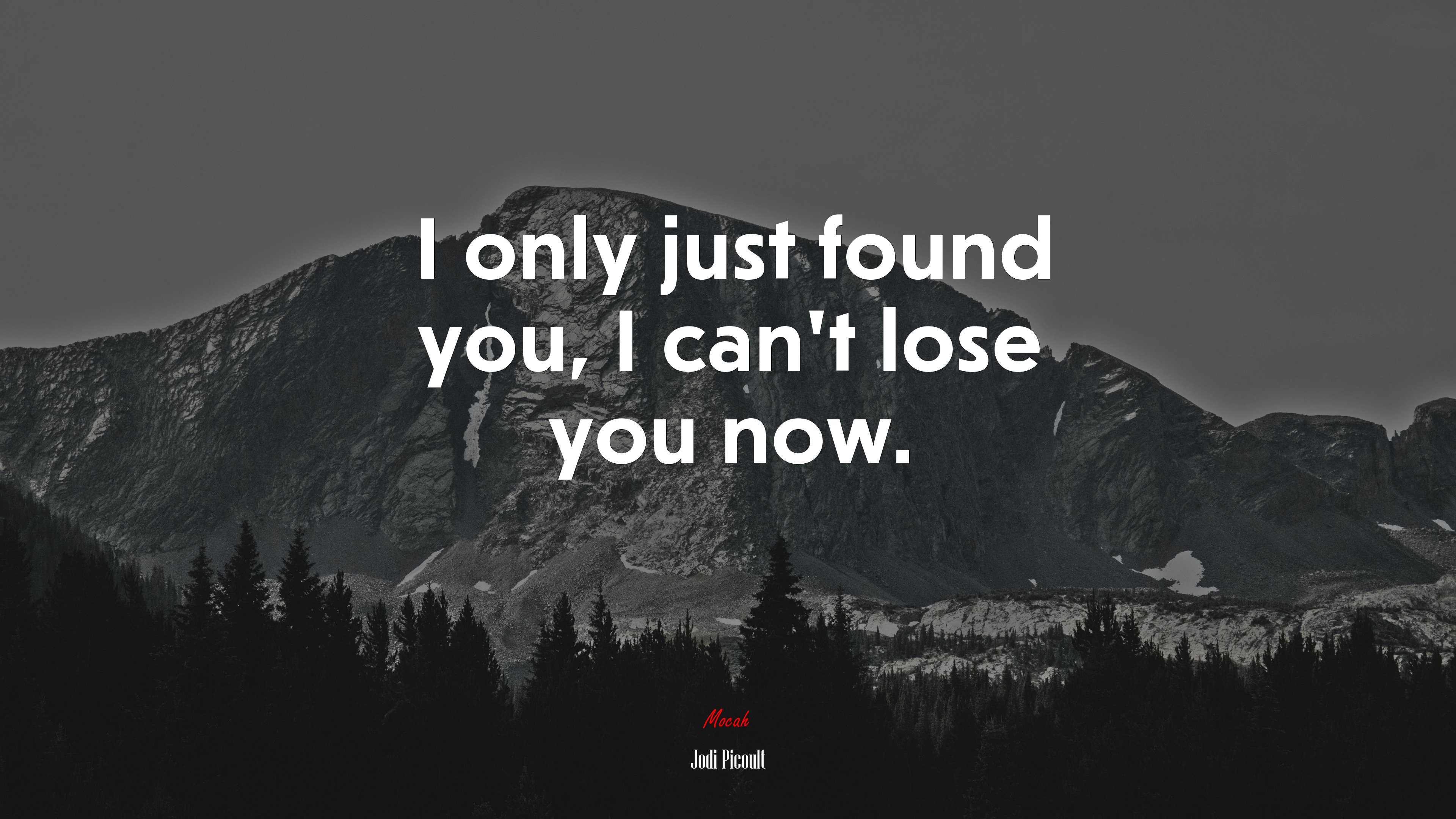 I only just found you, I can’t lose you now. | Jodi Picoult quote HD Wallpaper