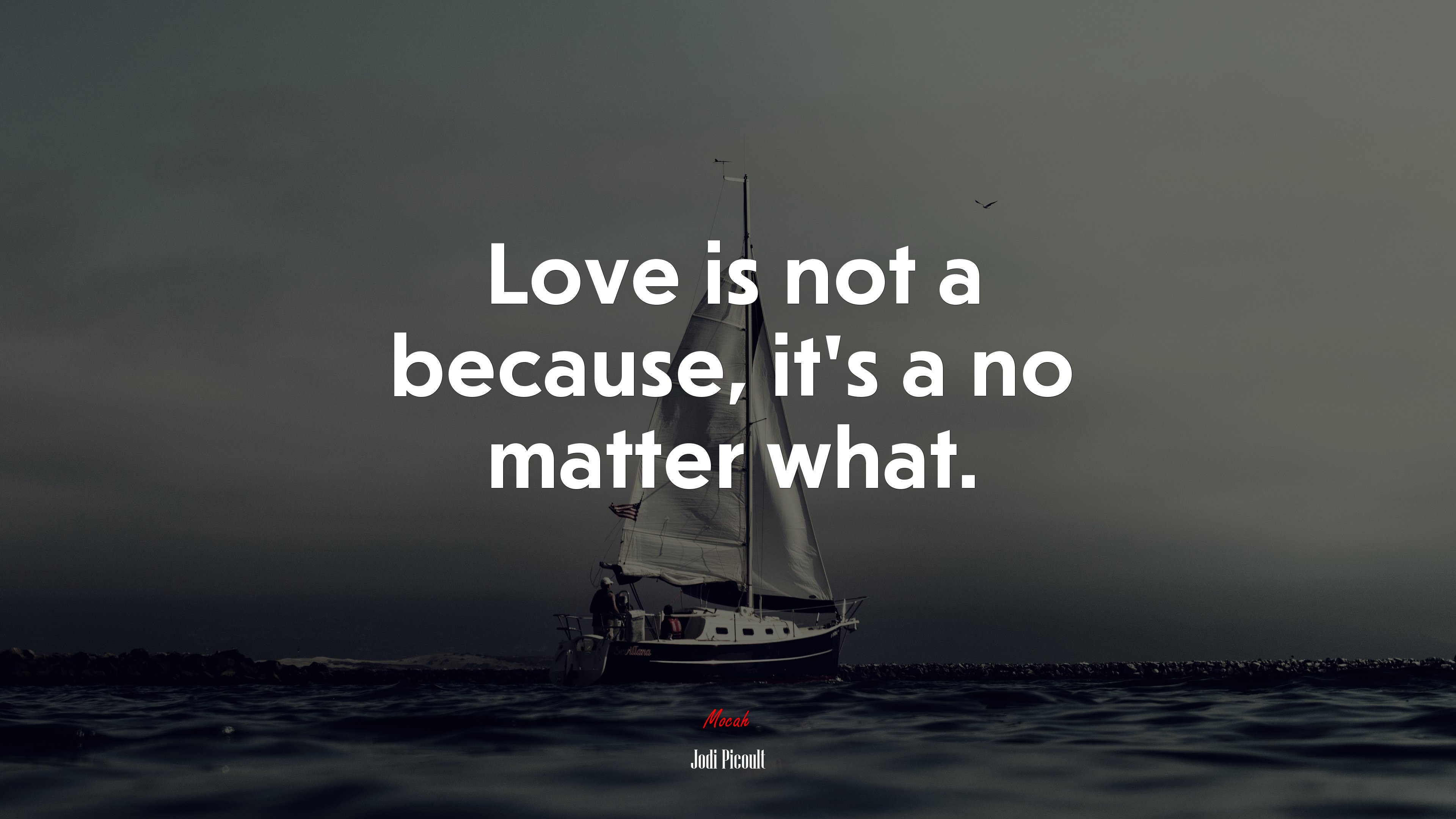 Love is not a because, it’s a no matter what. | Jodi Picoult quote HD Wallpaper