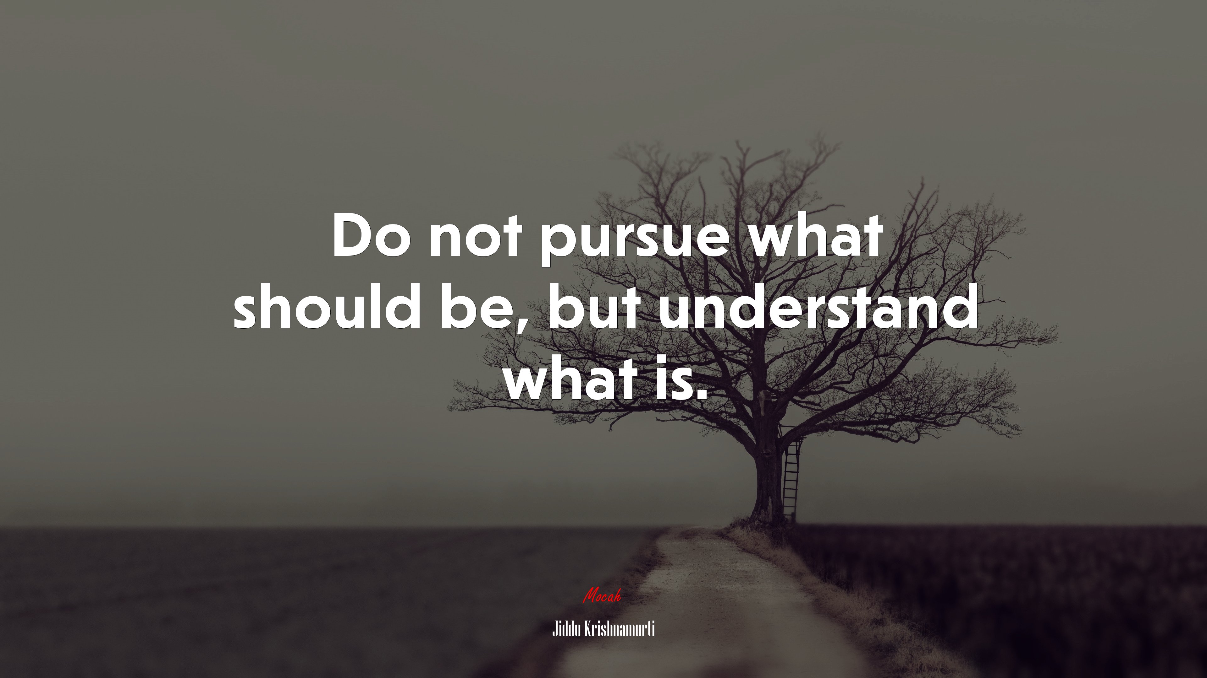 Do not pursue what should be, but understand what is. | Jiddu Krishnamurti quote HD Wallpaper