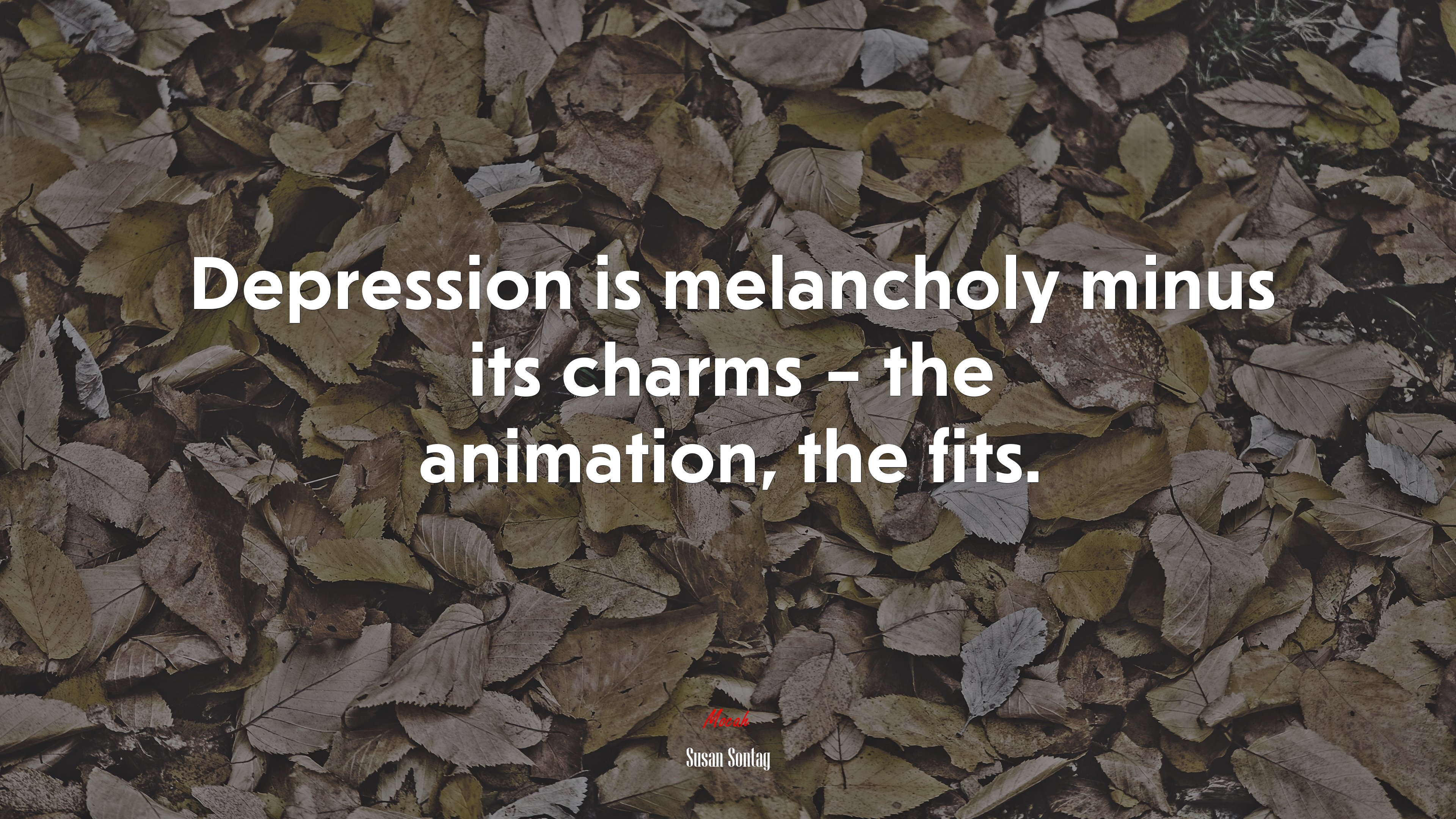 Depression is melancholy minus its charms – the animation, the fits. | Susan Sontag quote HD Wallpaper