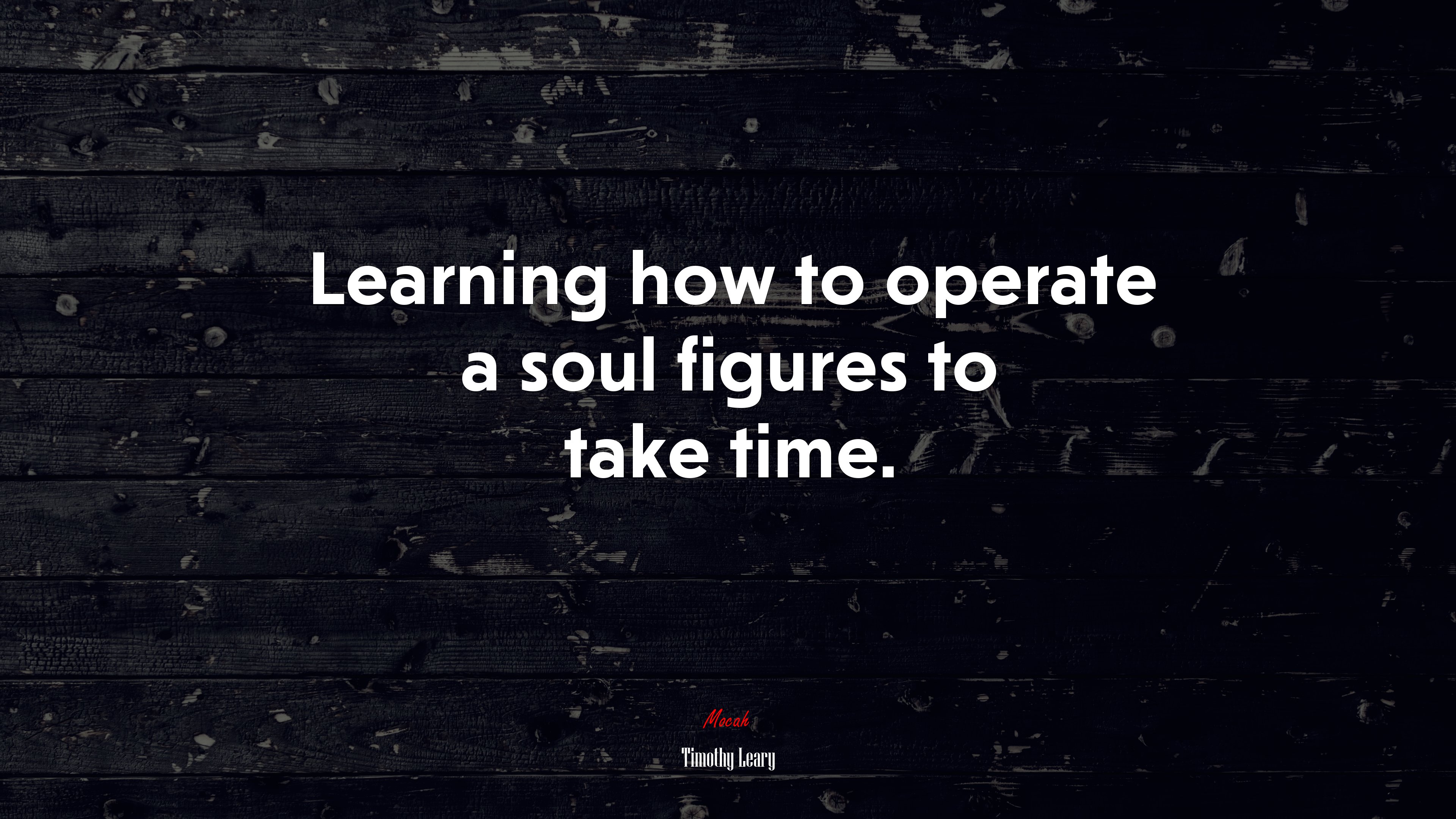 Learning how to operate a soul figures to take time. | Timothy Leary quote HD Wallpaper