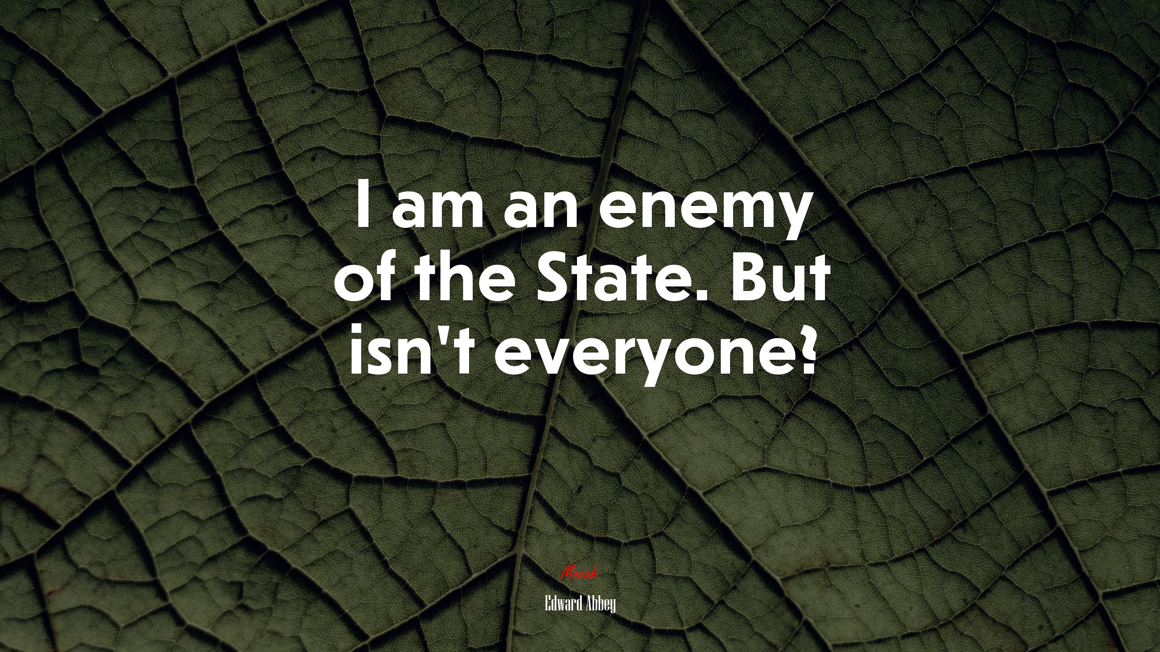 I am an enemy of the State. But isn’t everyone? | Edward Abbey quote HD Wallpaper