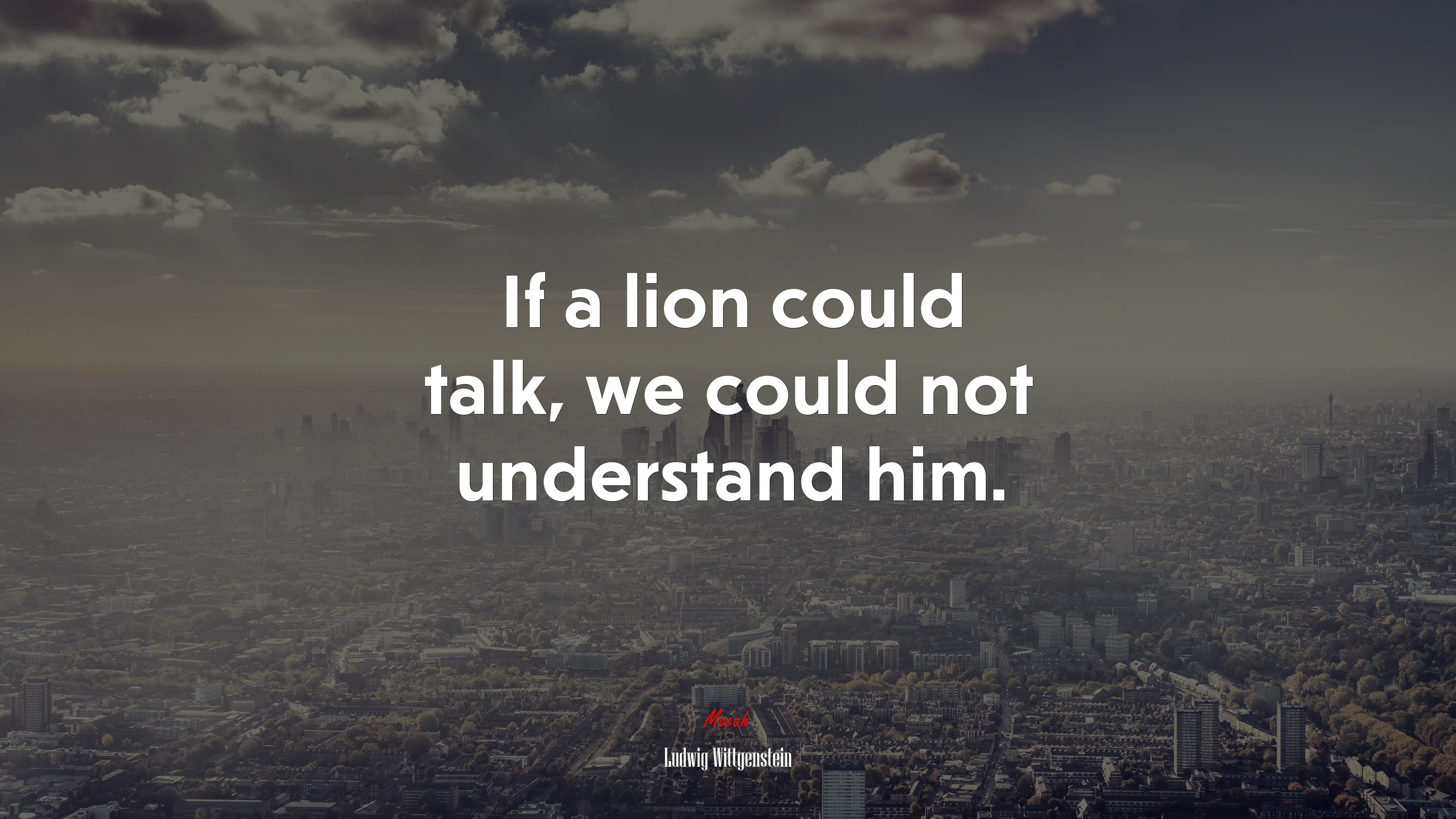 If a lion could talk, we could not understand him. | Ludwig Wittgenstein quote HD Wallpaper