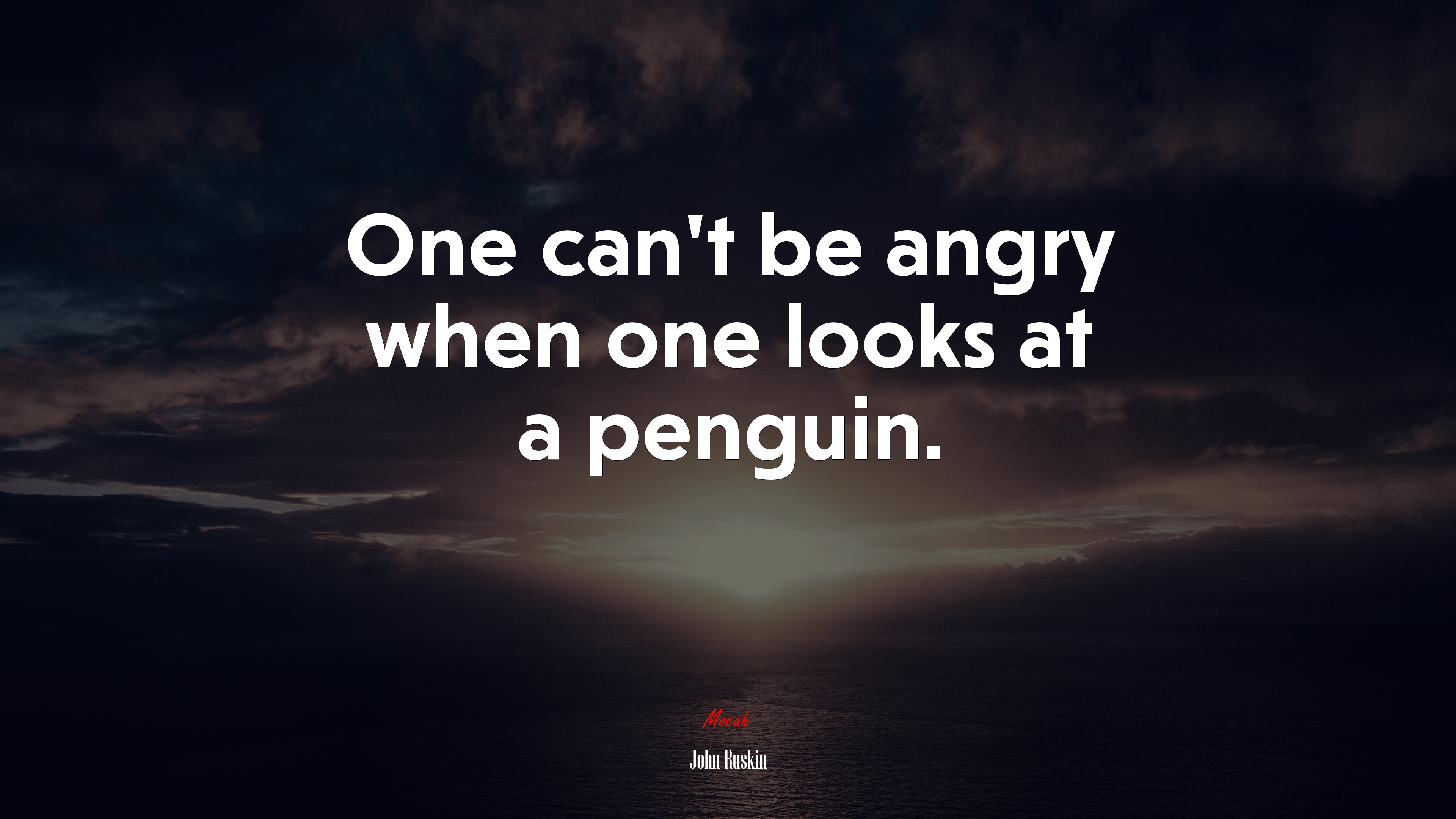 One can’t be angry when one looks at a penguin. | John Ruskin quote HD Wallpaper
