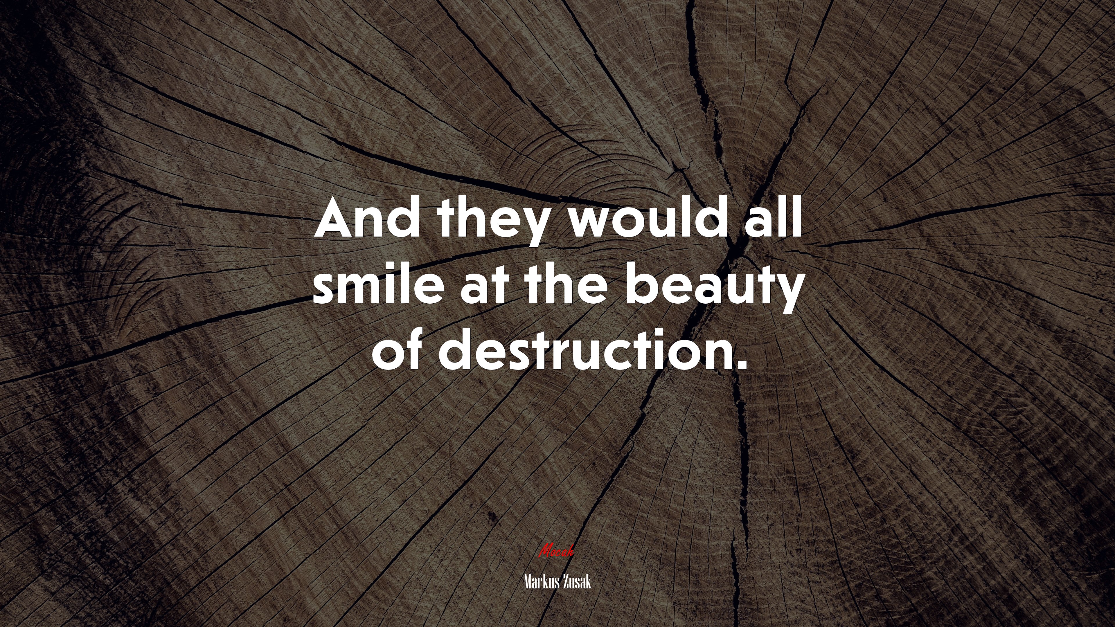 And they would all smile at the beauty of destruction. | Markus Zusak quote HD Wallpaper