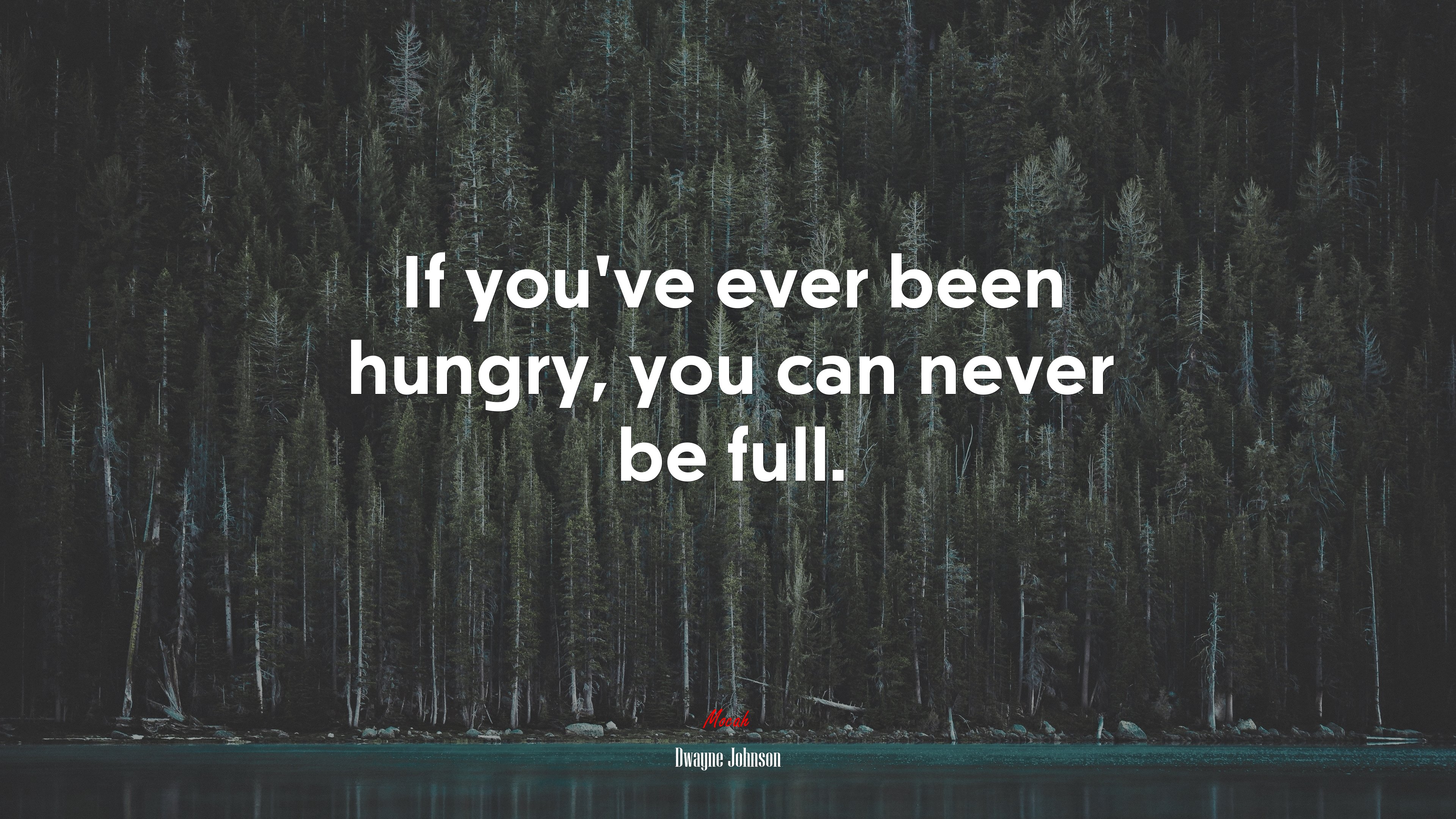 If you’ve ever been hungry, you can never be full. | Dwayne Johnson quote HD Wallpaper