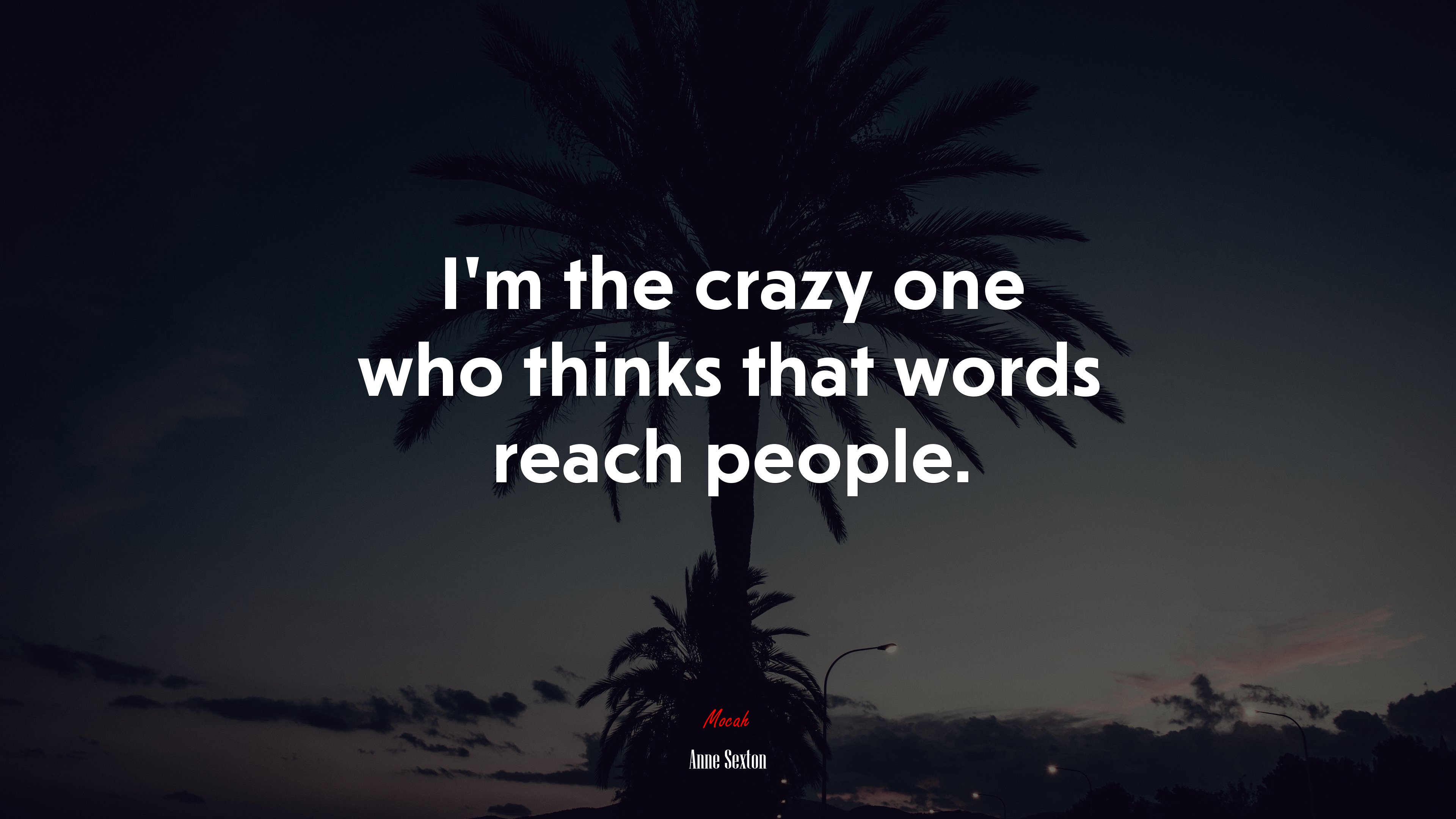 I’m the crazy one who thinks that words reach people. | Anne Sexton quote HD Wallpaper