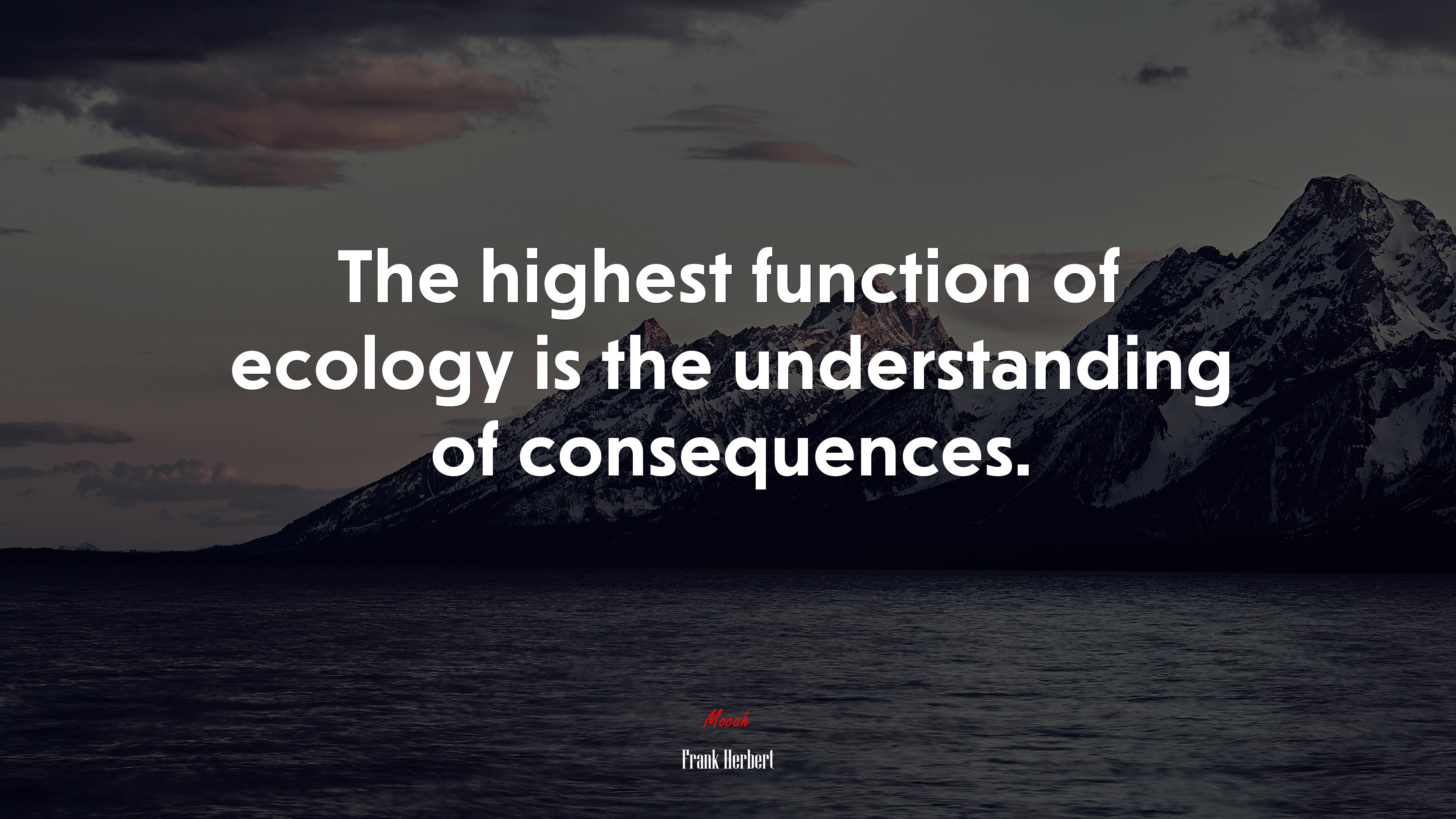 The highest function of ecology is the understanding of consequences. | Frank Herbert quote HD Wallpaper