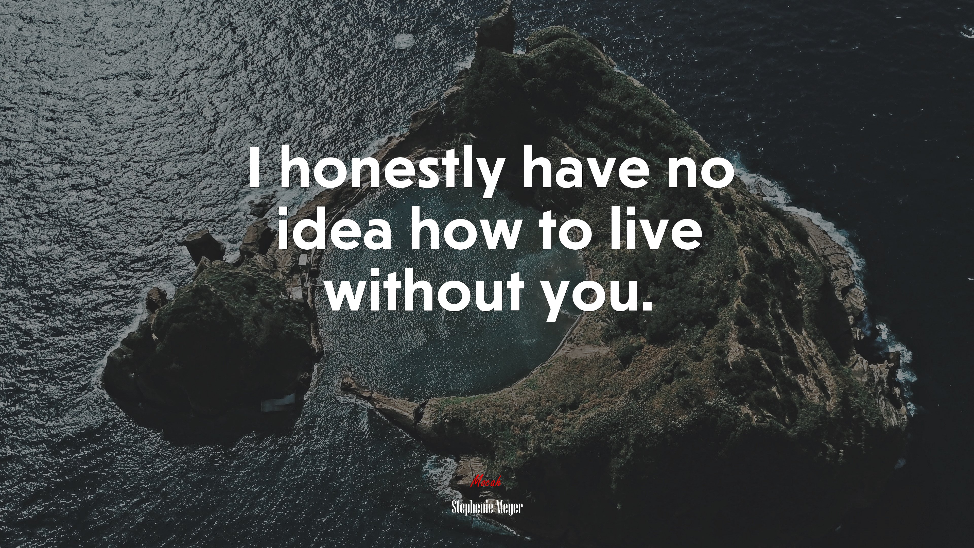 I honestly have no idea how to live without you. | Stephenie Meyer quote HD Wallpaper