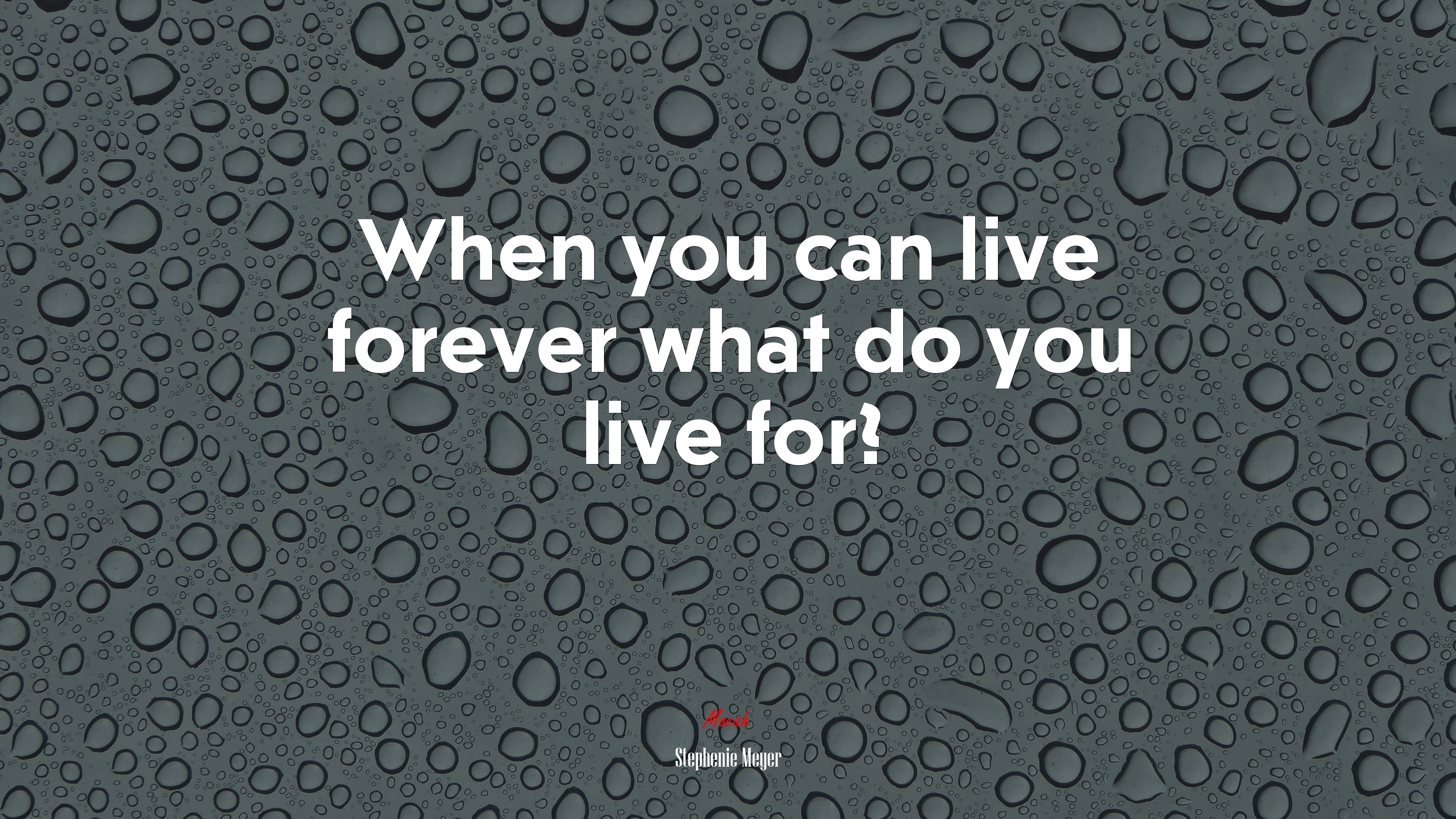 When you can live forever what do you live for? | Stephenie Meyer quote HD Wallpaper