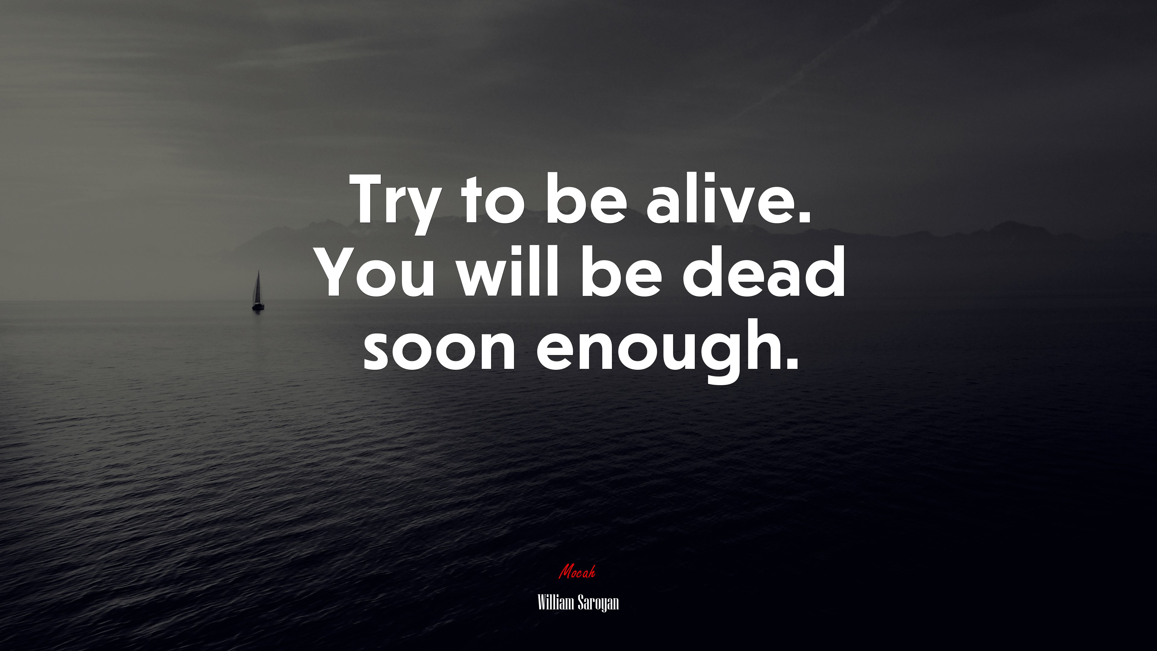 Try to be alive. You will be dead soon enough. | William Saroyan quote HD Wallpaper