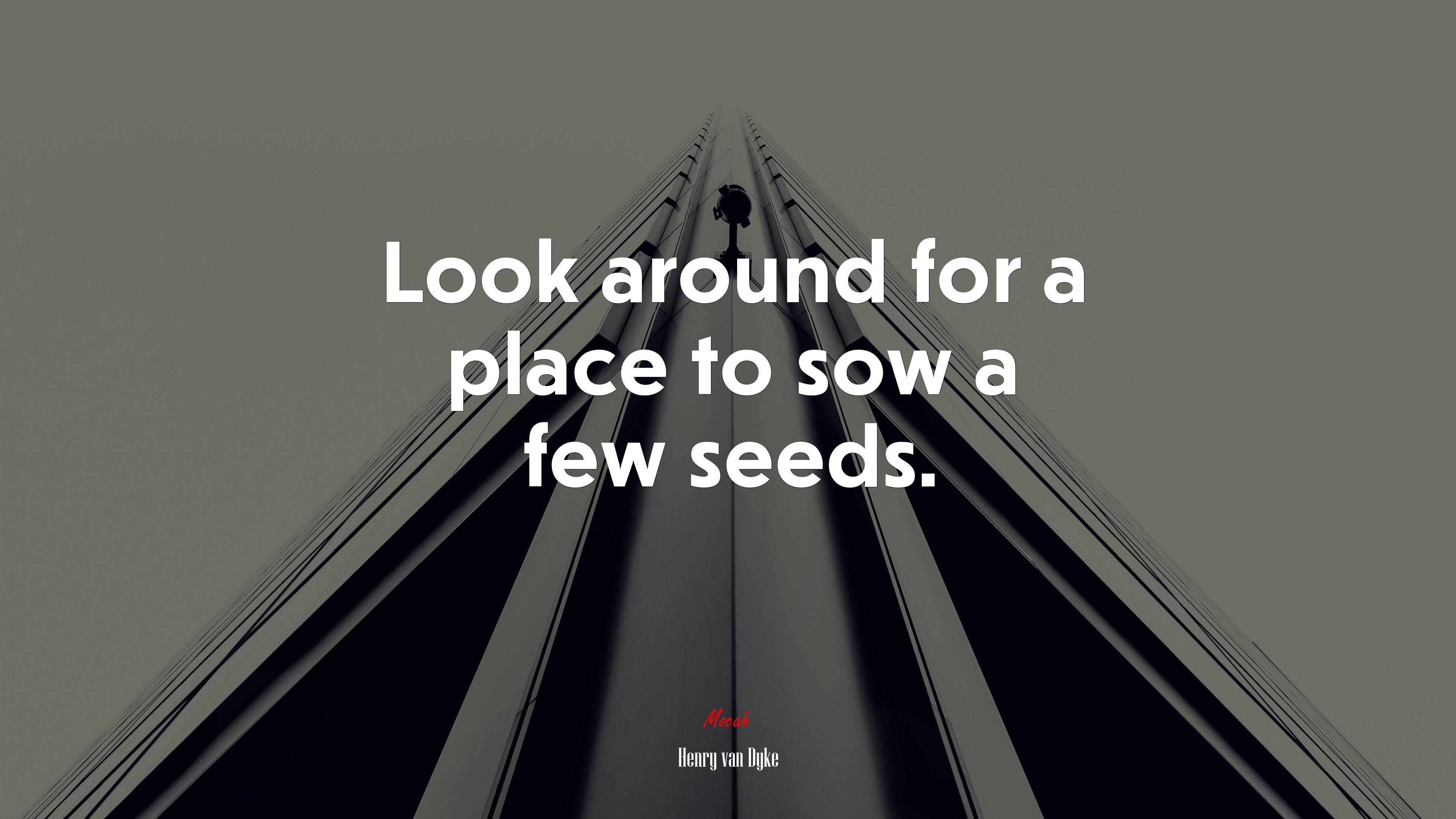 Look around for a place to sow a few seeds. | Henry van Dyke quote HD Wallpaper