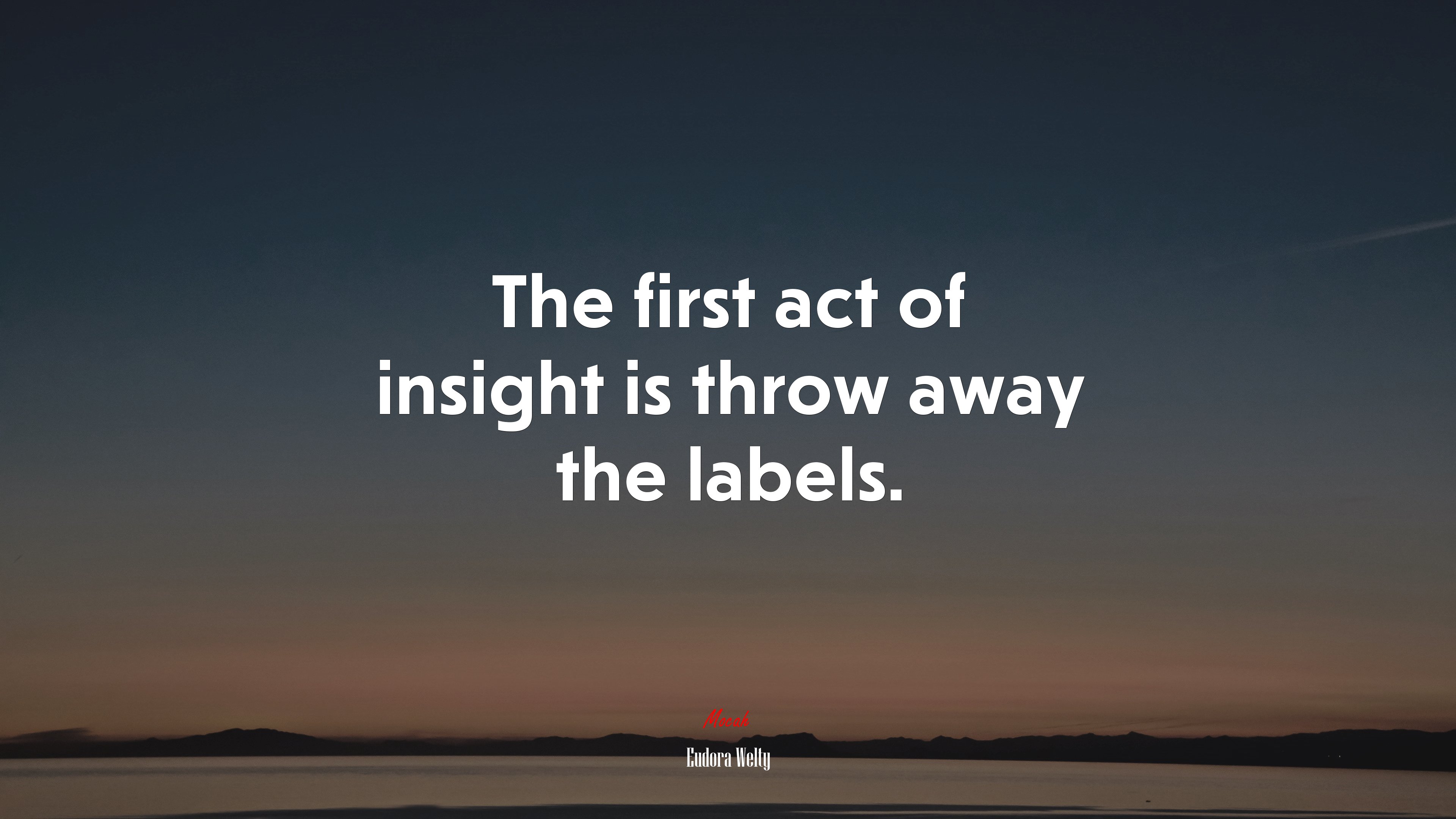 The first act of insight is throw away the labels. | Eudora Welty quote HD Wallpaper