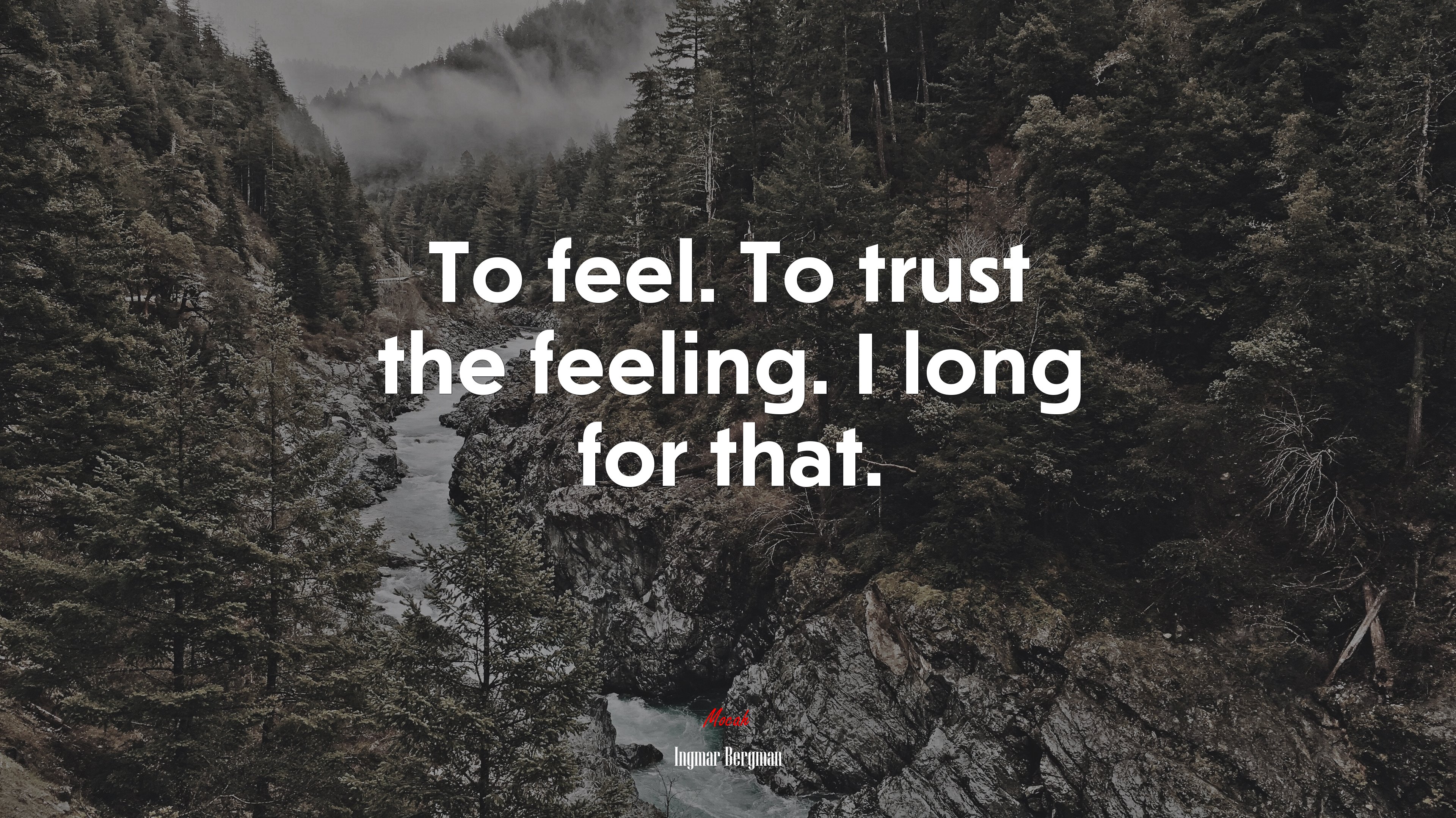 To feel. To trust the feeling. I long for that. | Ingmar Bergman quote HD Wallpaper