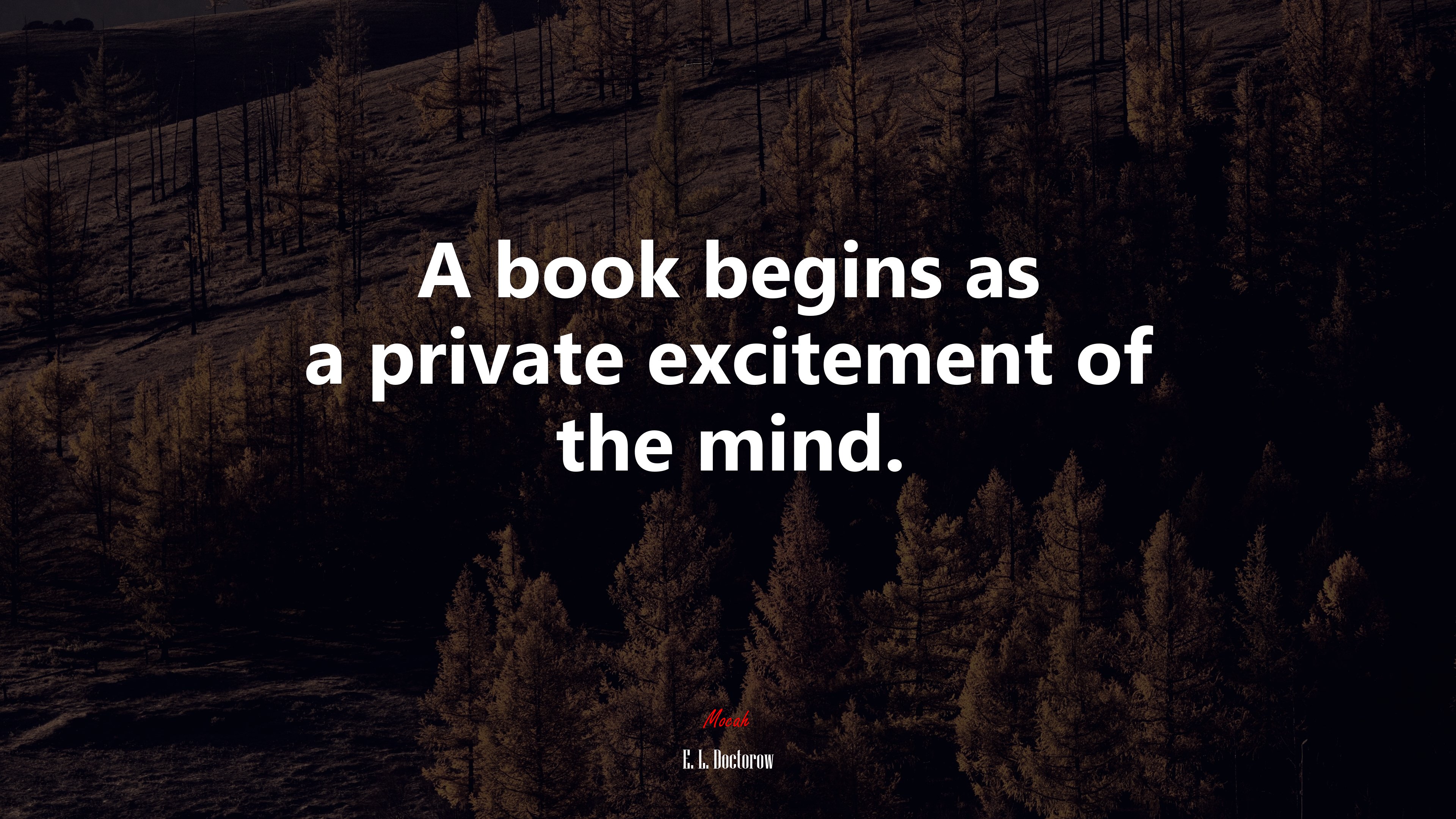 A book begins as a private excitement of the mind. | E. L. Doctorow quote HD Wallpaper