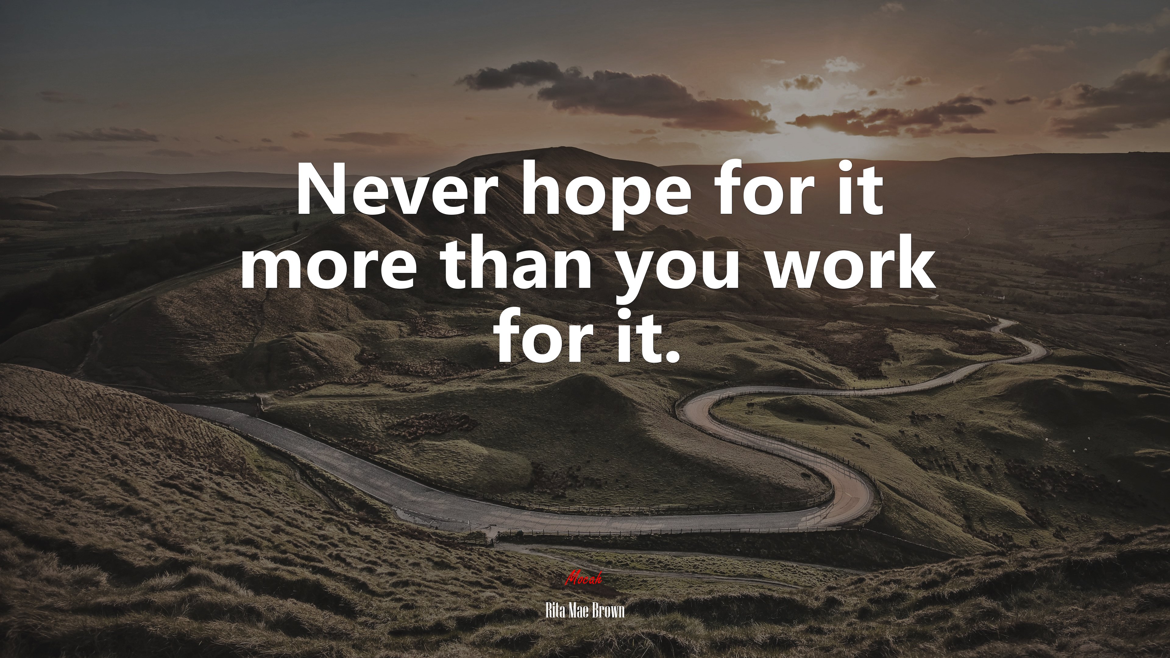 Never hope for it more than you work for it. | Rita Mae Brown quote HD Wallpaper
