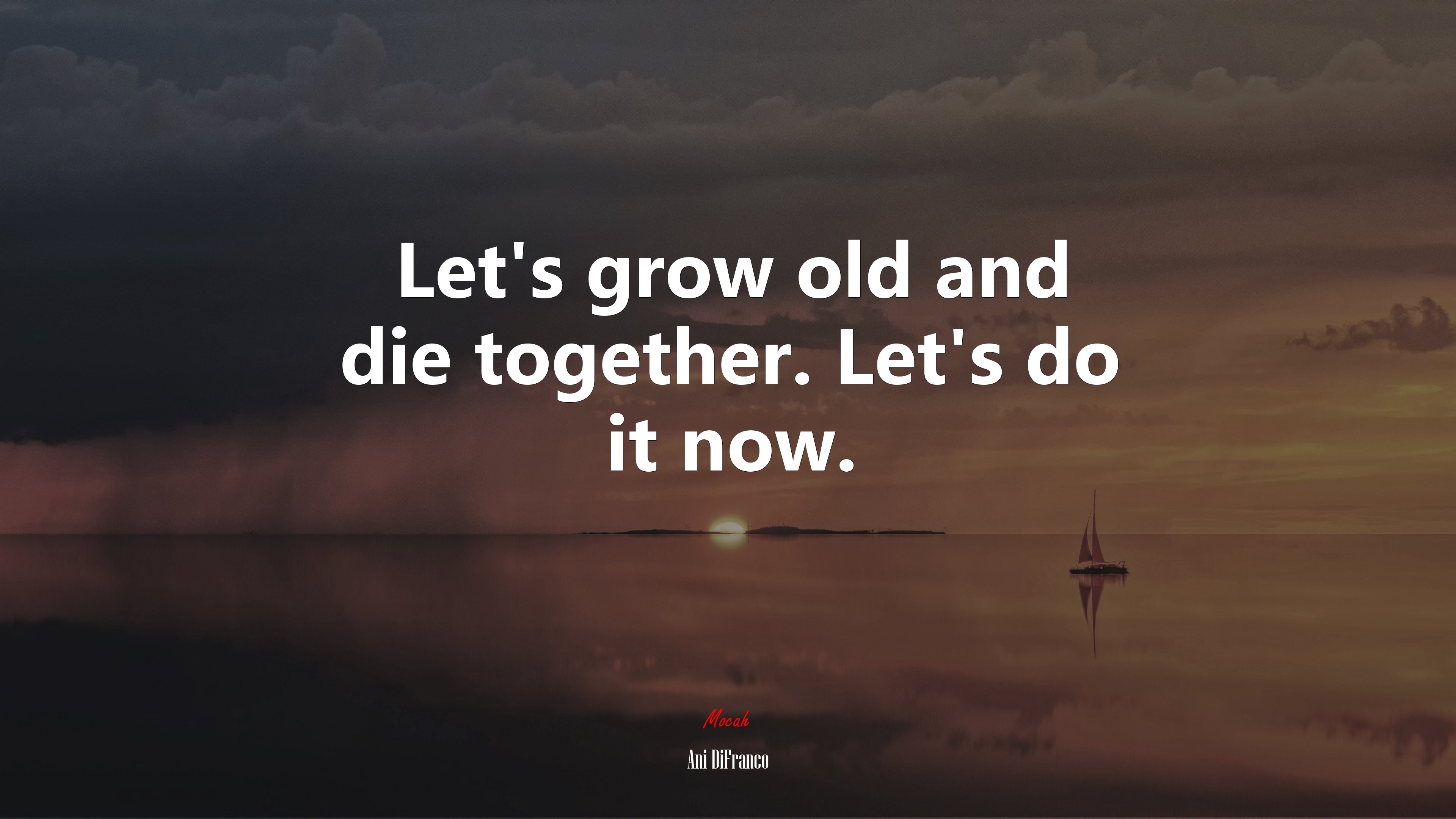 Let’s grow old and die together. Let’s do it now. | Ani DiFranco quote HD Wallpaper