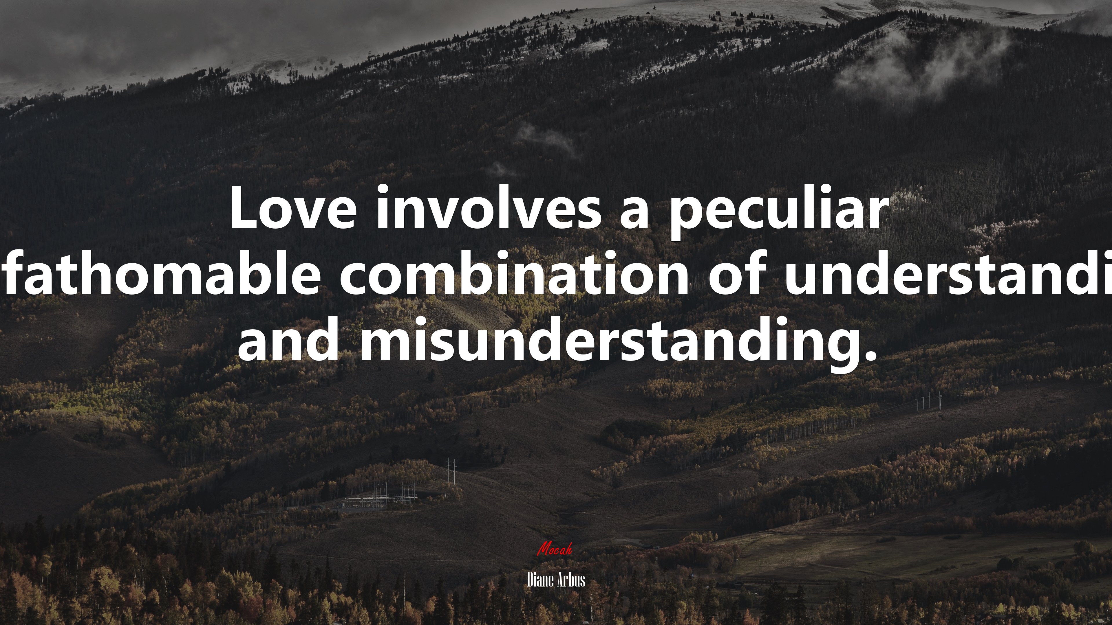 Love involves a peculiar unfathomable combination of understanding and misunderstanding. | Diane Arbus quote HD Wallpaper