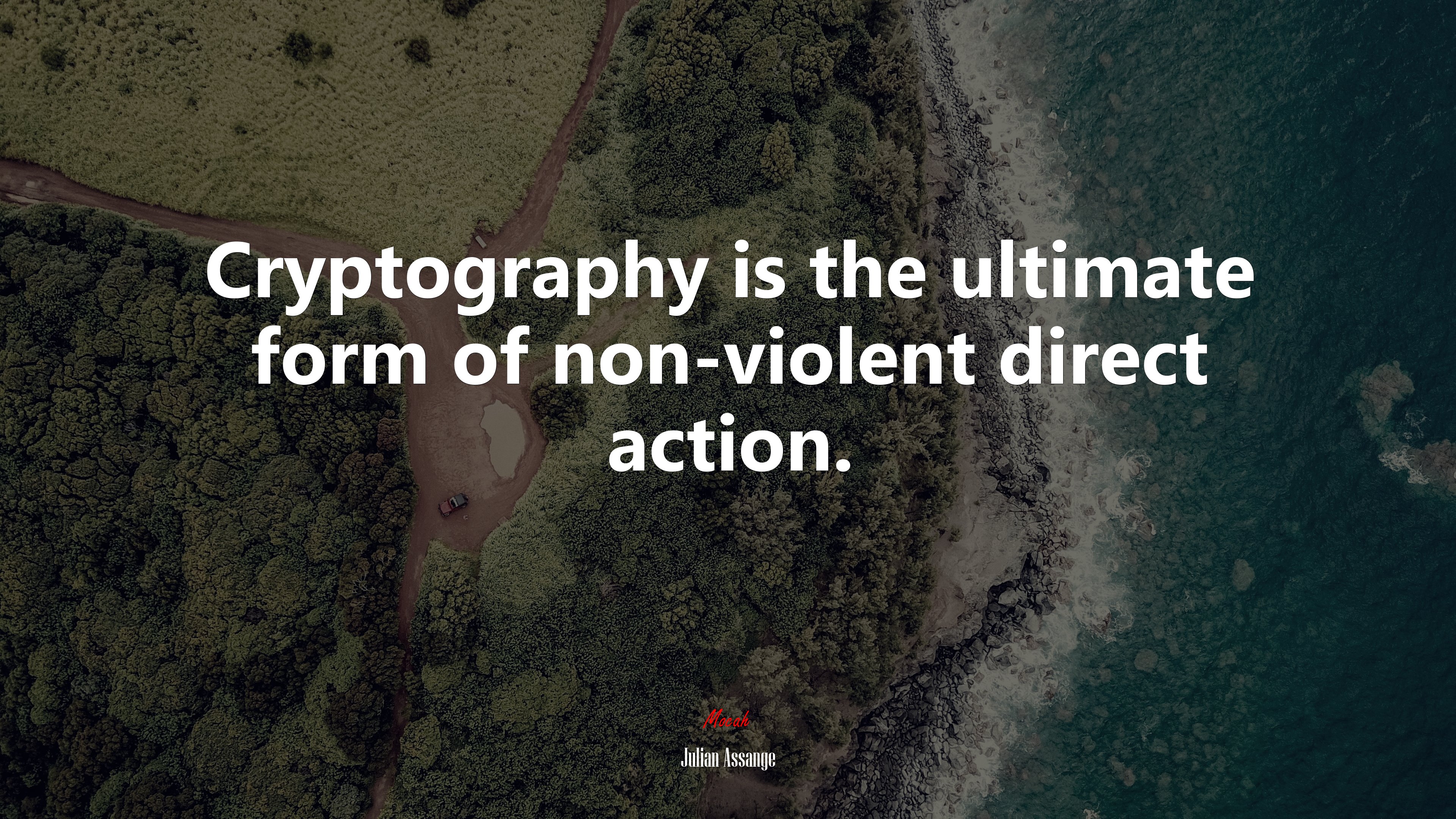 Cryptography is the ultimate form of non-violent direct action. | Julian Assange quote HD Wallpaper