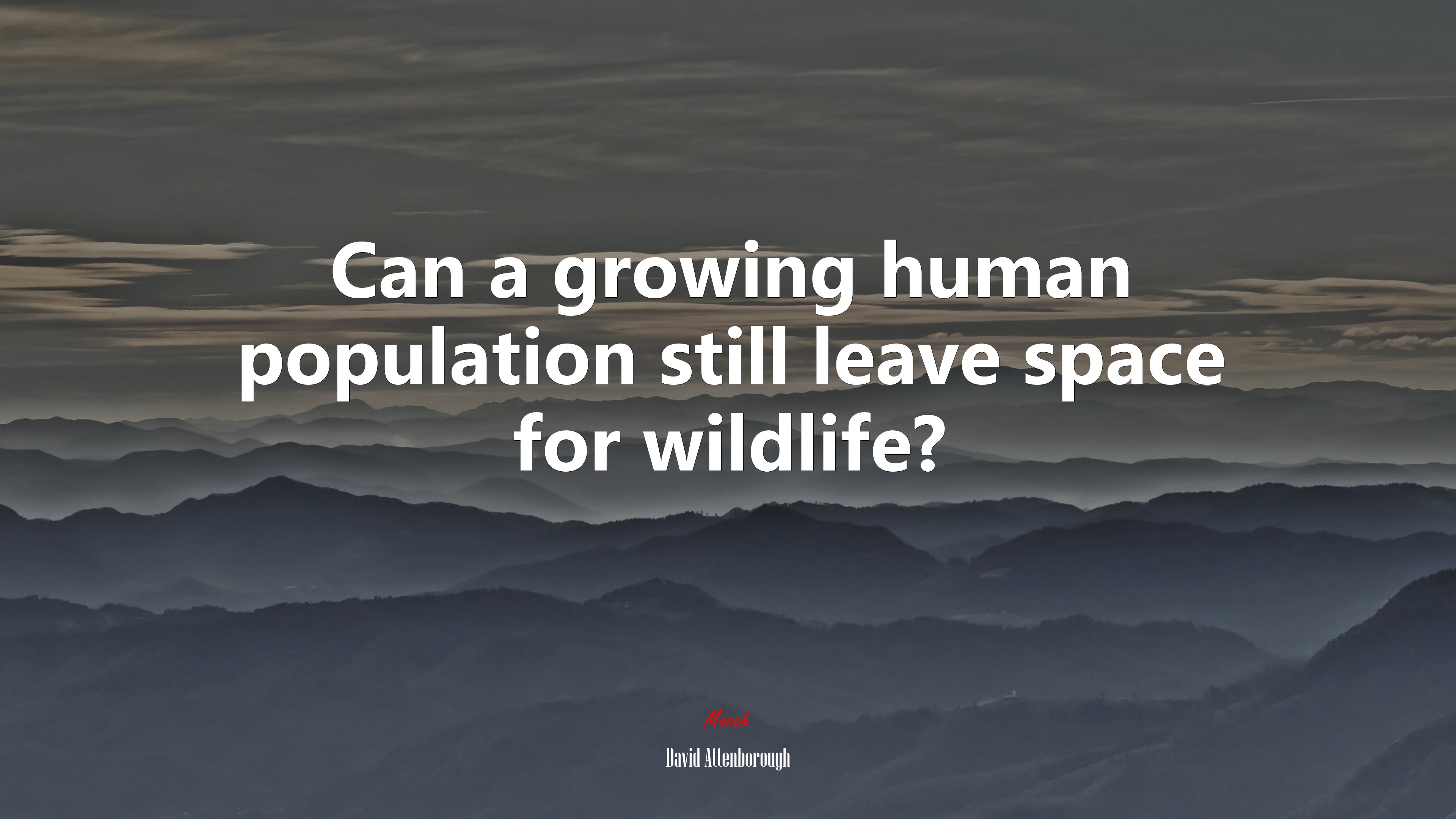 Can a growing human population still leave space for wildlife? | David Attenborough quote HD Wallpaper