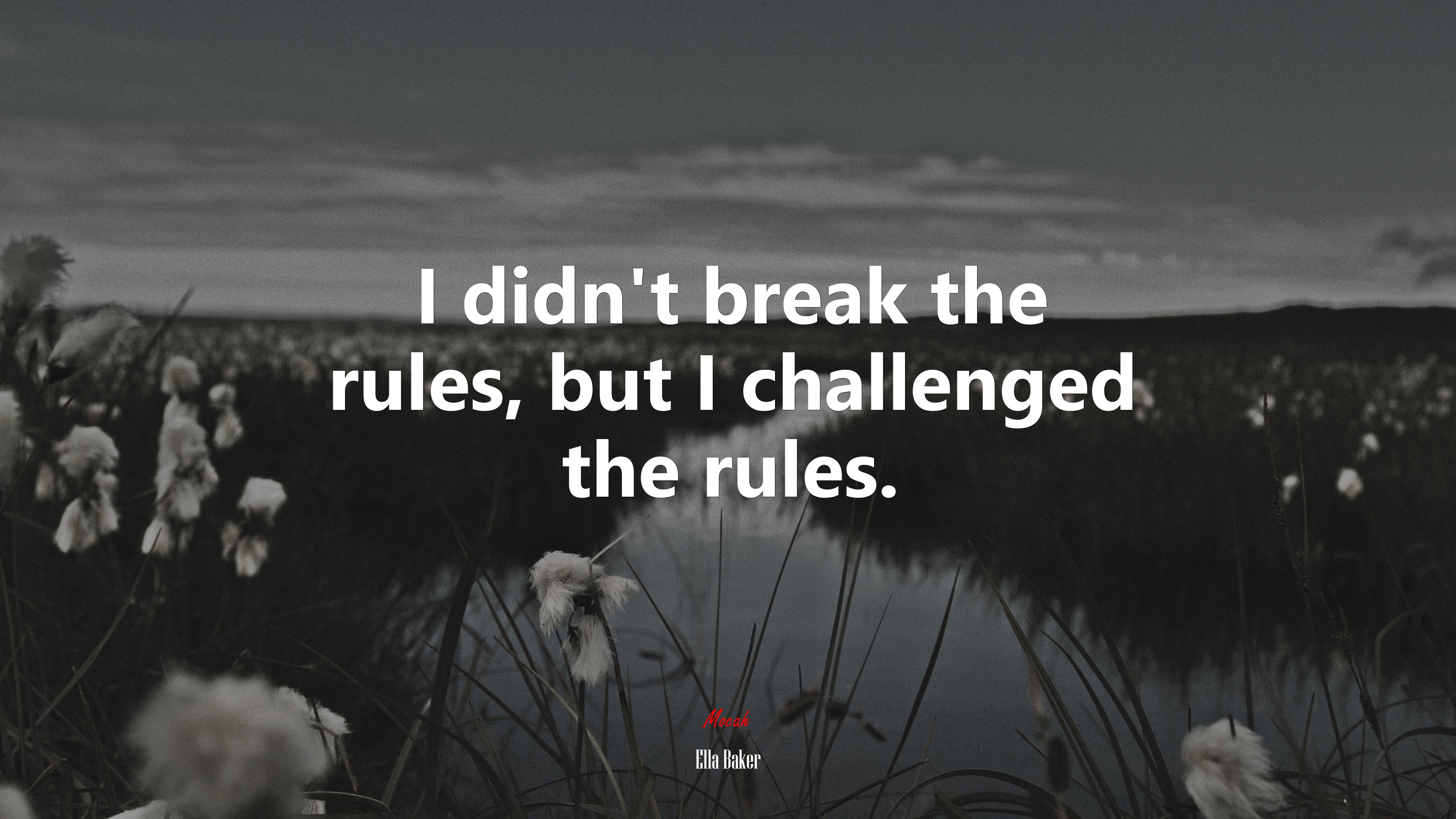 I didn’t break the rules, but I challenged the rules. | Ella Baker quote HD Wallpaper