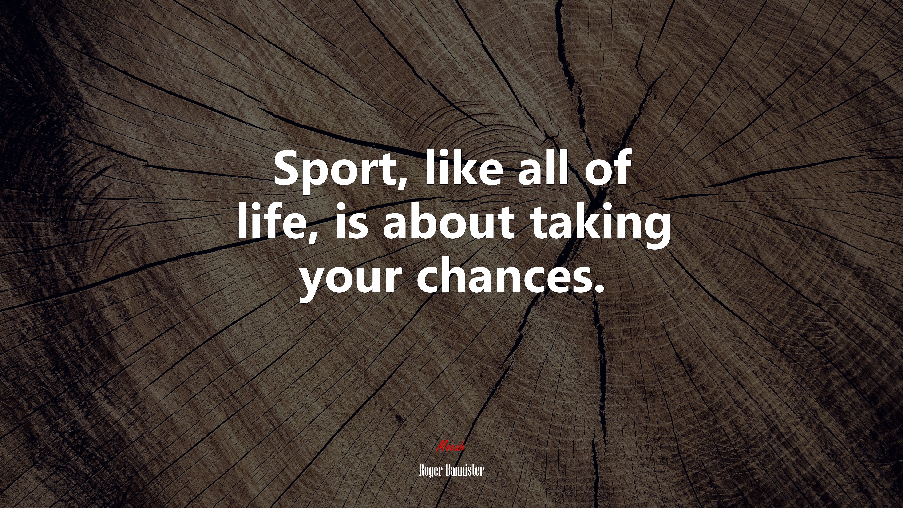 Sport, like all of life, is about taking your chances. | Roger Bannister quote HD Wallpaper