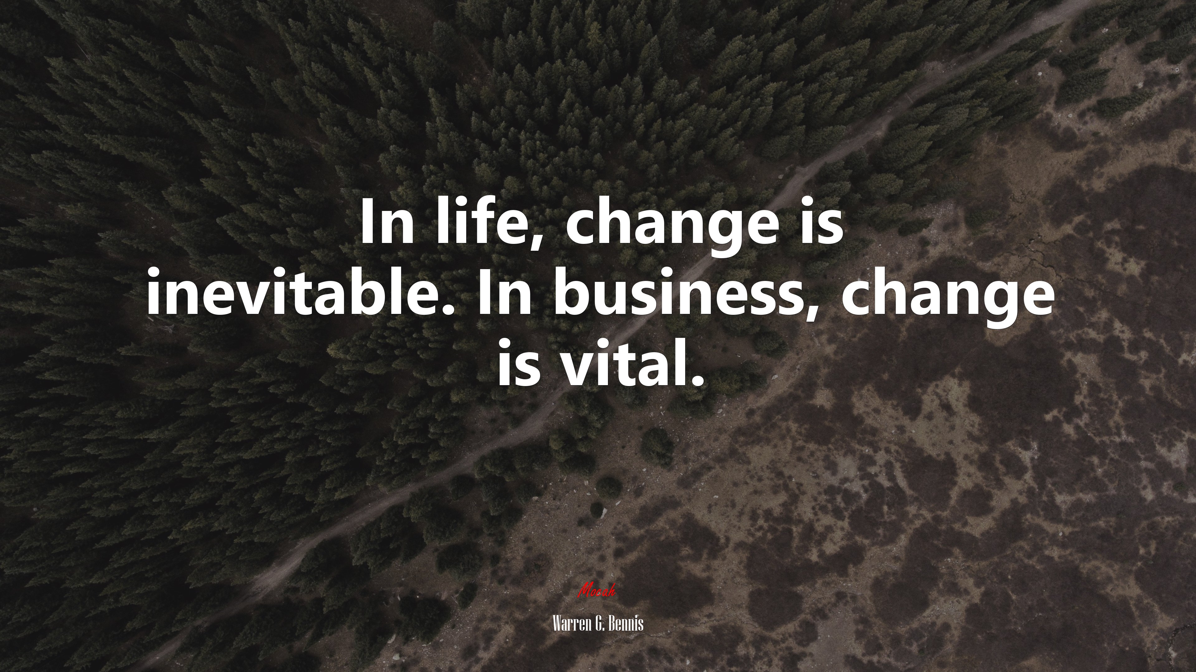 In life, change is inevitable. In business, change is vital. | Warren G. Bennis quote HD Wallpaper