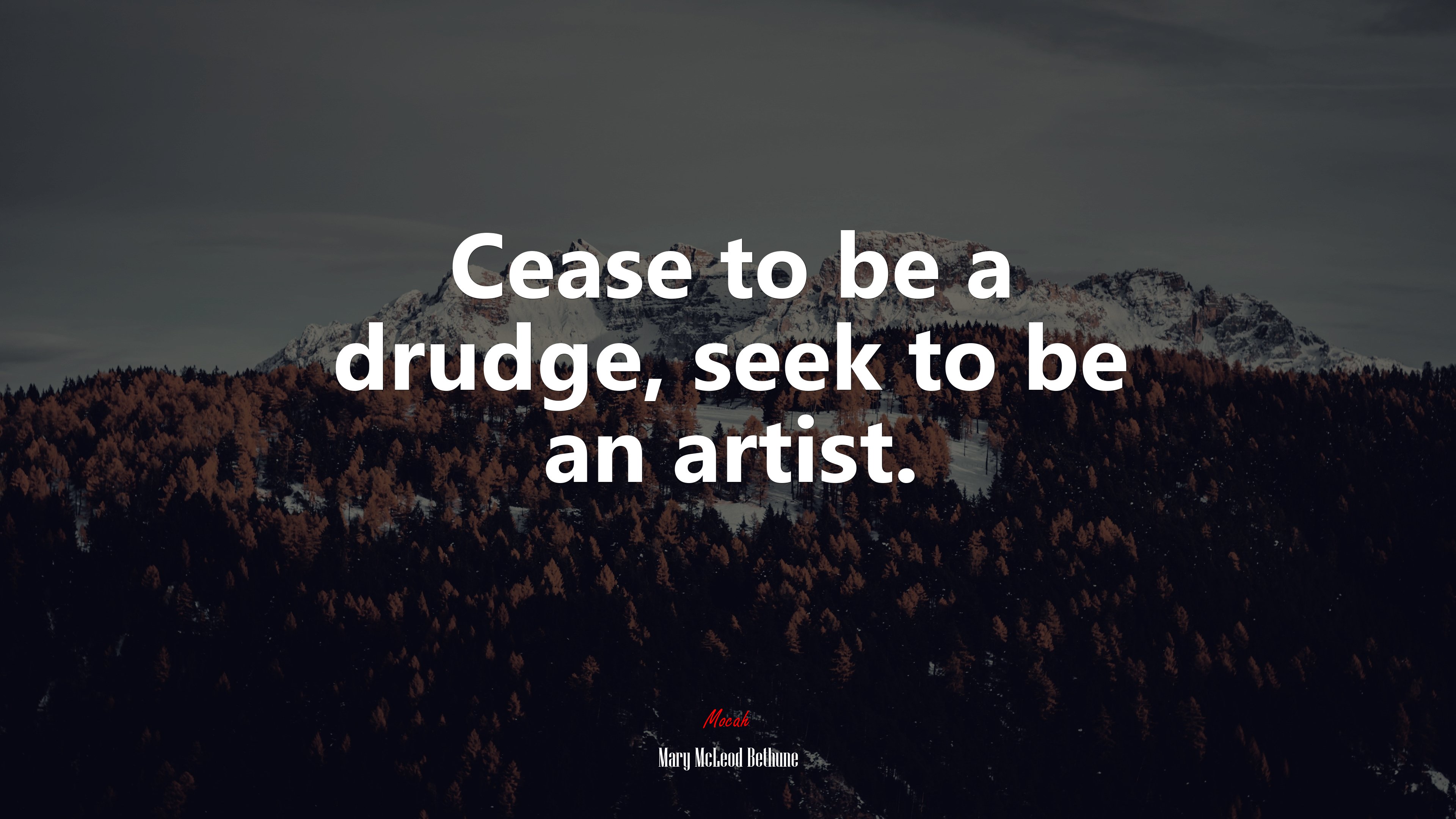 Cease to be a drudge, seek to be an artist. | Mary McLeod Bethune quote HD Wallpaper