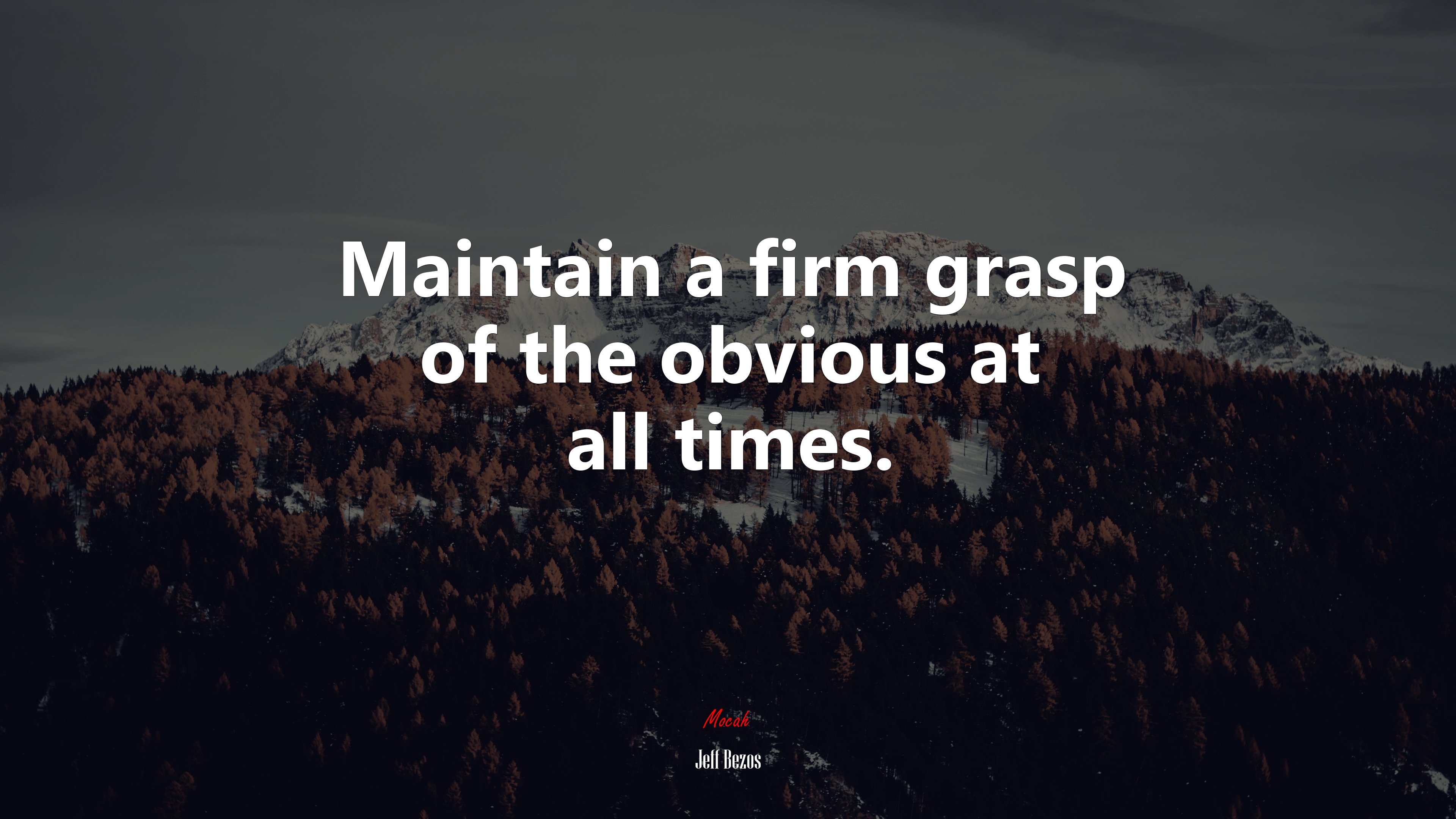 Maintain a firm grasp of the obvious at all times. | Jeff Bezos quote HD Wallpaper