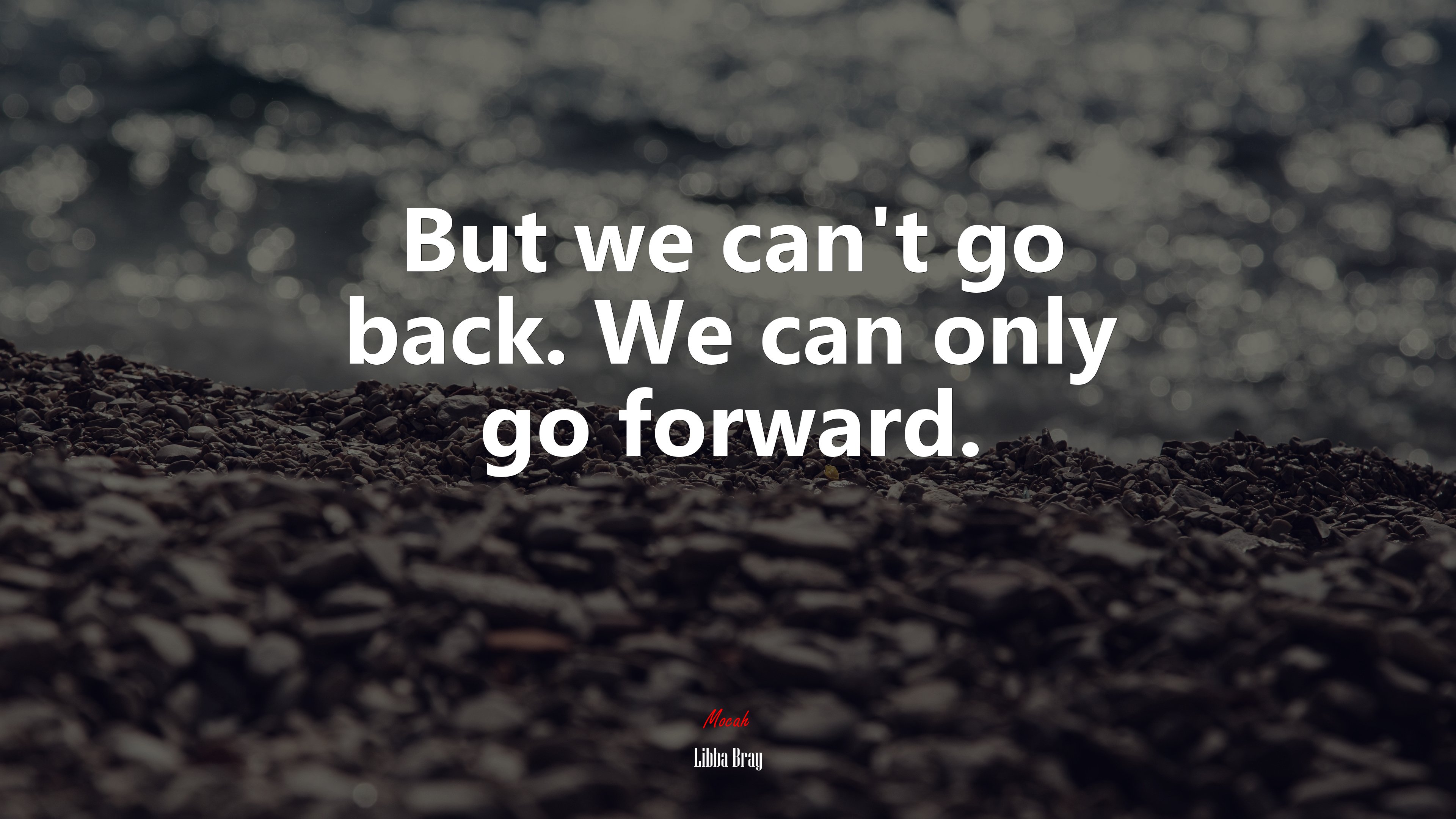 But we can’t go back. We can only go forward. | Libba Bray quote HD Wallpaper