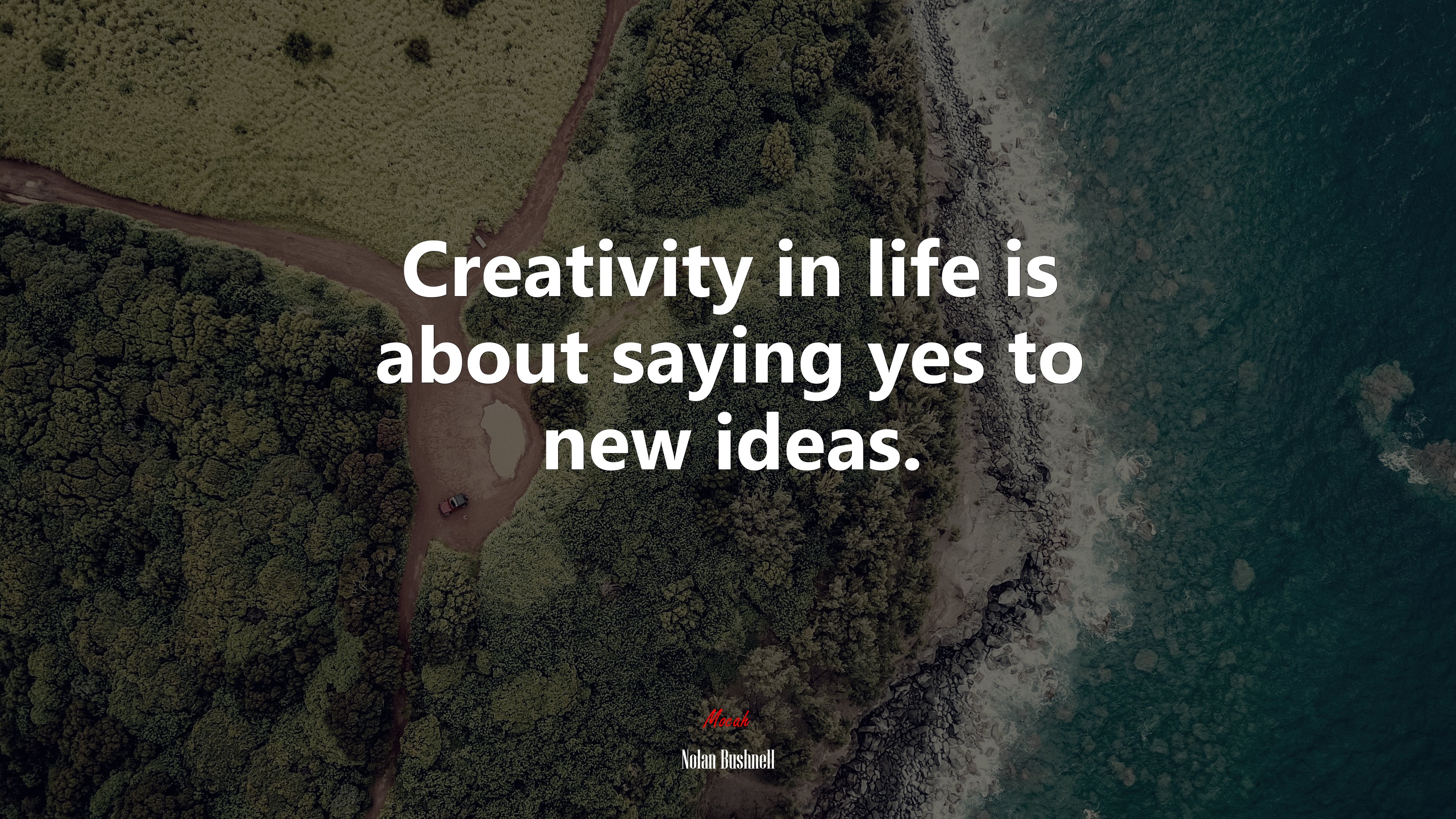 Creativity in life is about saying yes to new ideas. | Nolan Bushnell quote HD Wallpaper