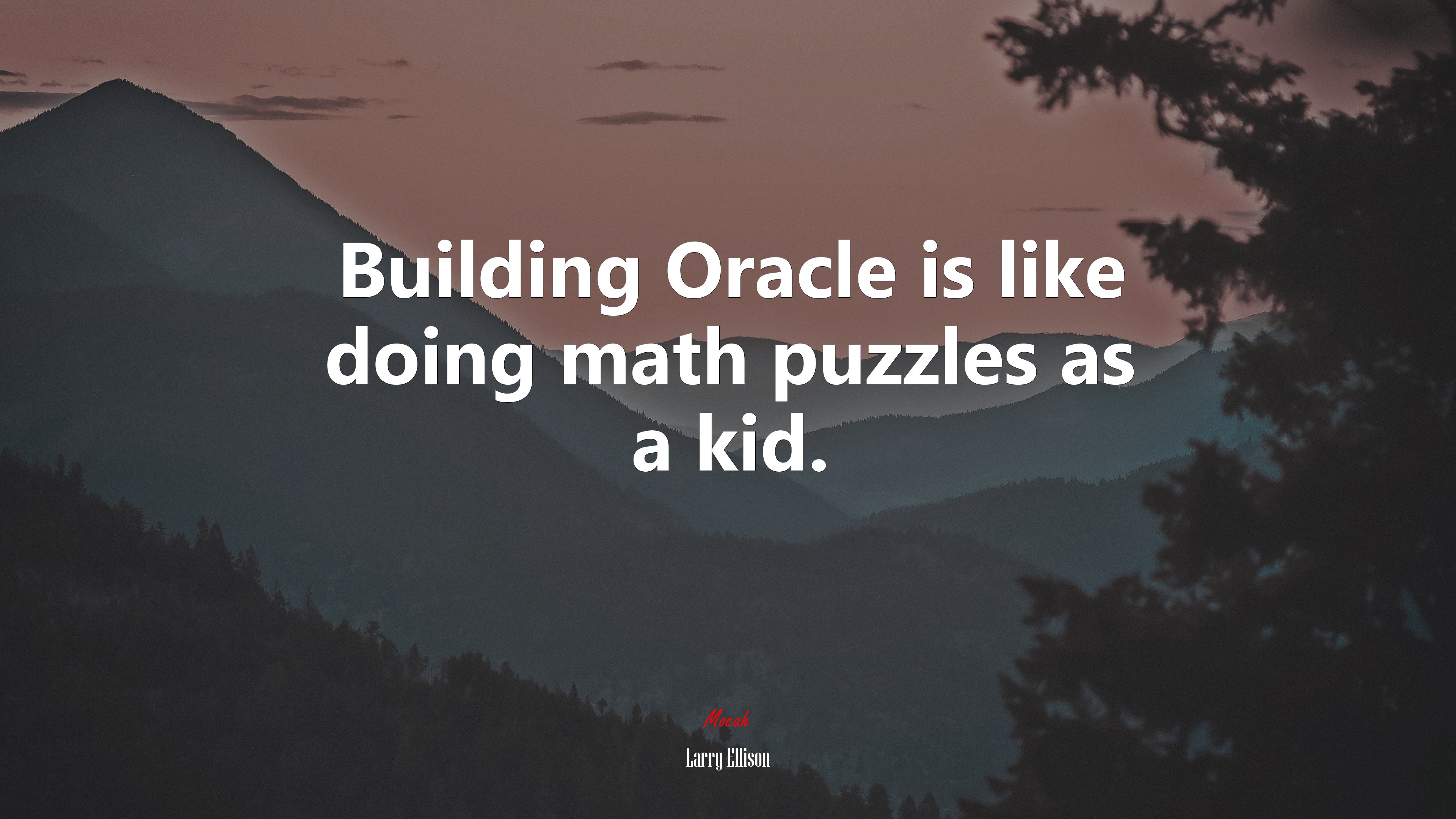 Building Oracle is like doing math puzzles as a kid. | Larry Ellison quote HD Wallpaper