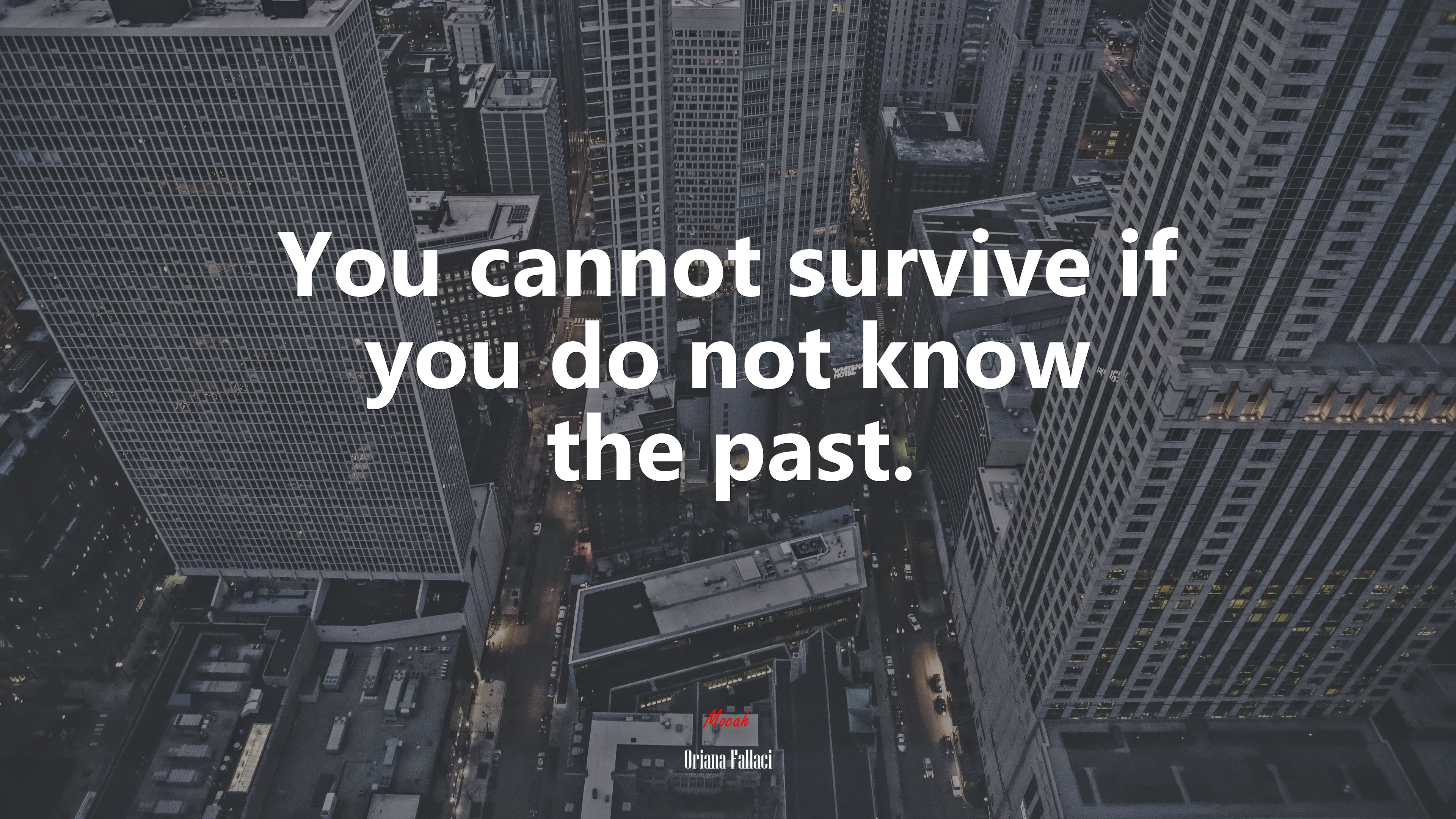 You cannot survive if you do not know the past. | Oriana Fallaci quote HD Wallpaper