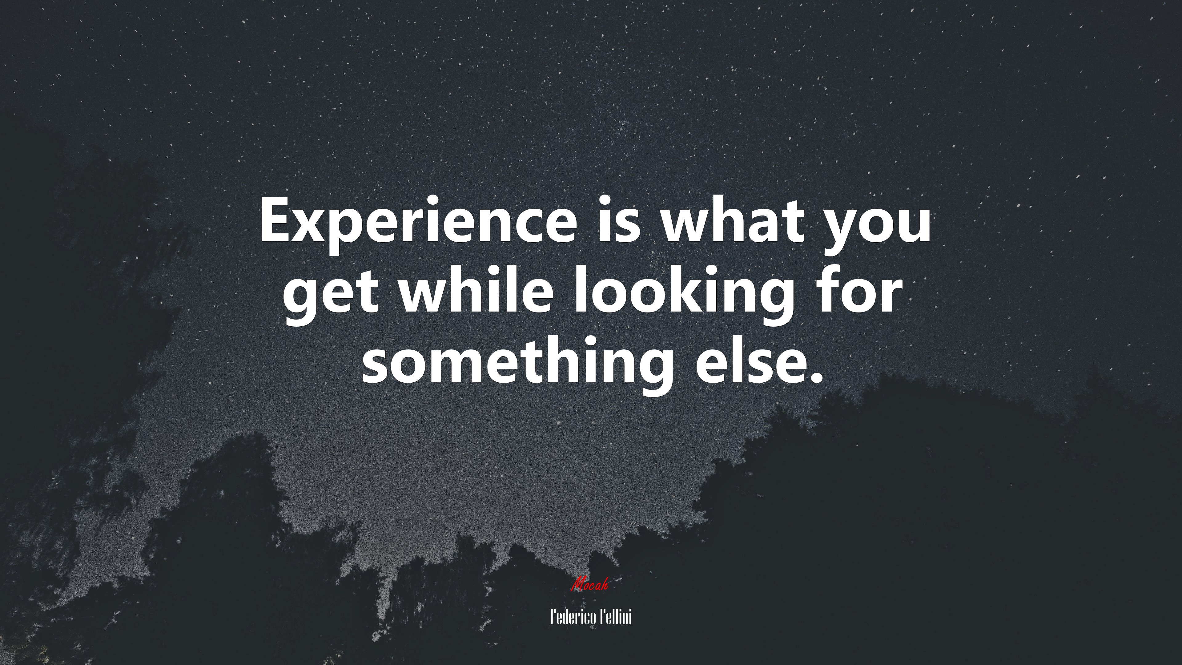 Experience is what you get while looking for something else. | Federico Fellini quote HD Wallpaper