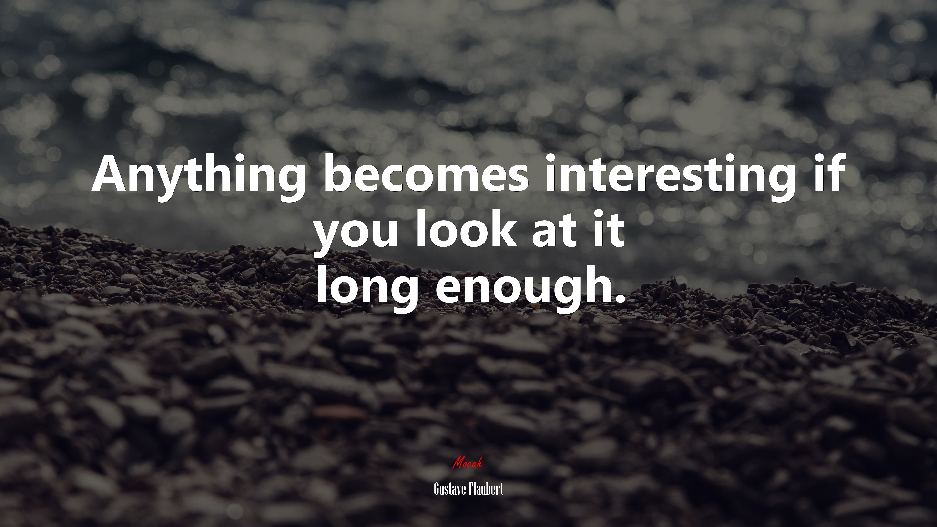 Anything becomes interesting if you look at it long enough. | Gustave Flaubert quote HD Wallpaper