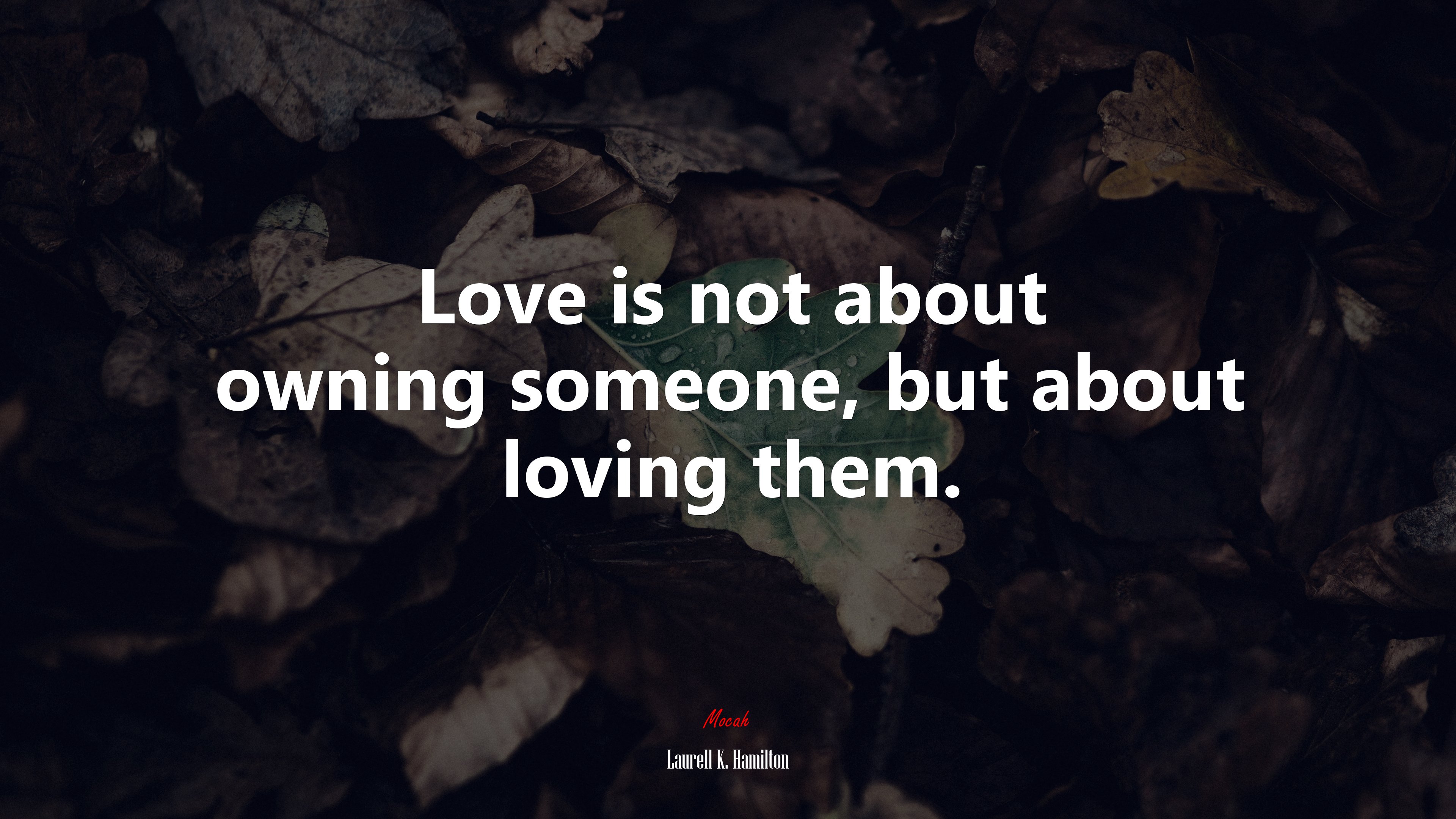 Love is not about owning someone, but about loving them. | Laurell K. Hamilton quote HD Wallpaper