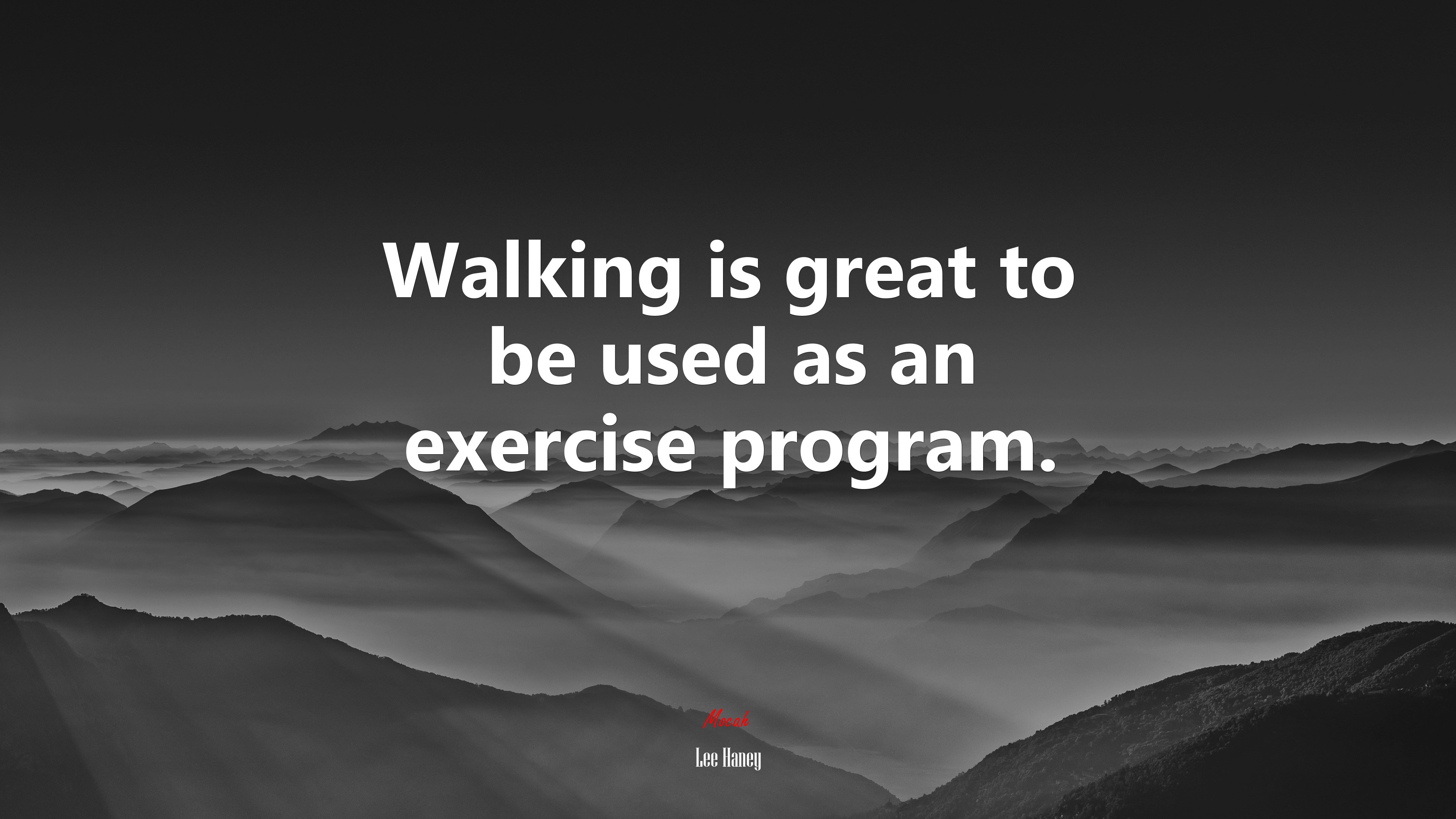 Walking is great to be used as an exercise program. | Lee Haney quote HD Wallpaper