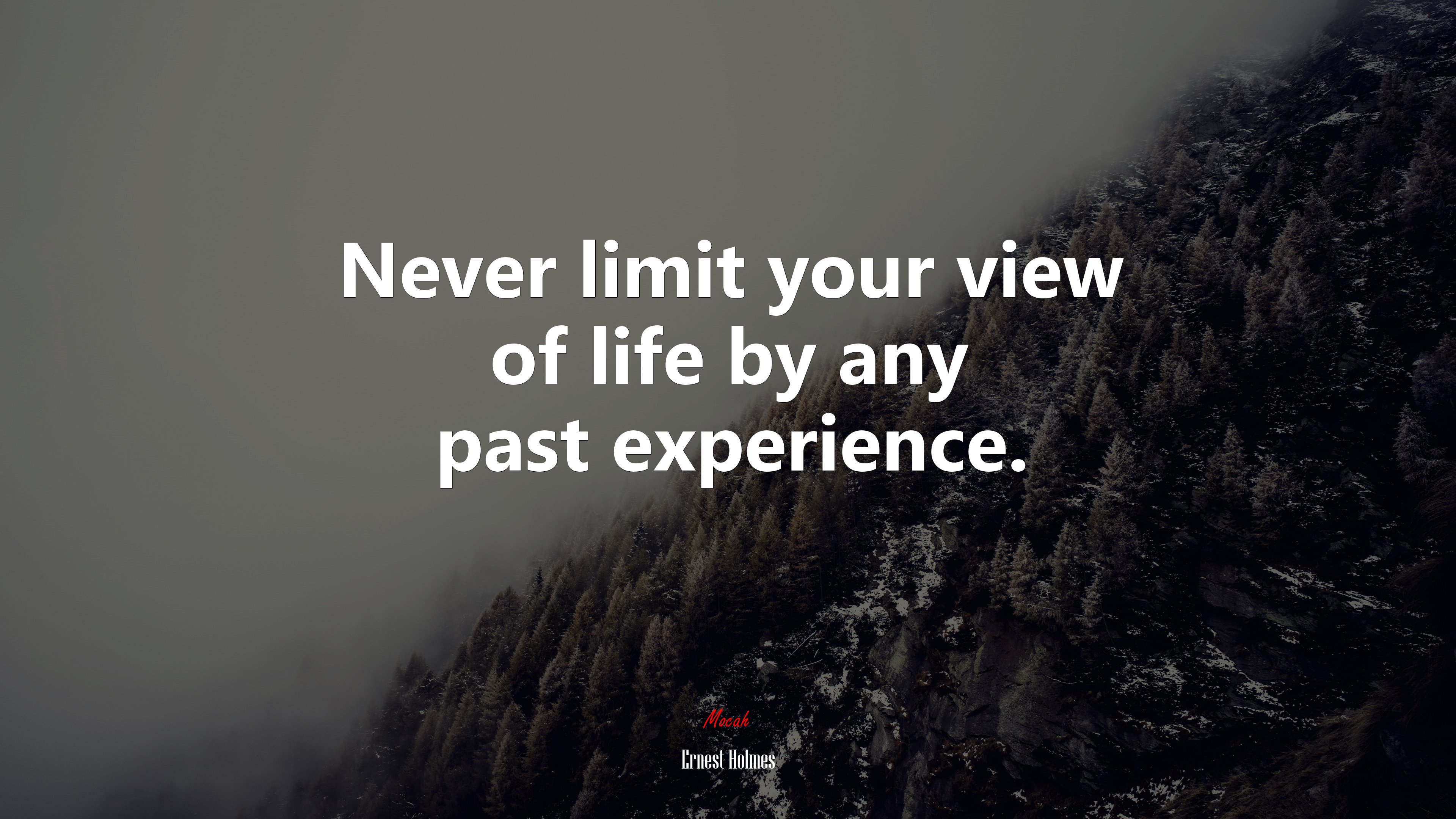 Never limit your view of life by any past experience. | Ernest Holmes quote HD Wallpaper