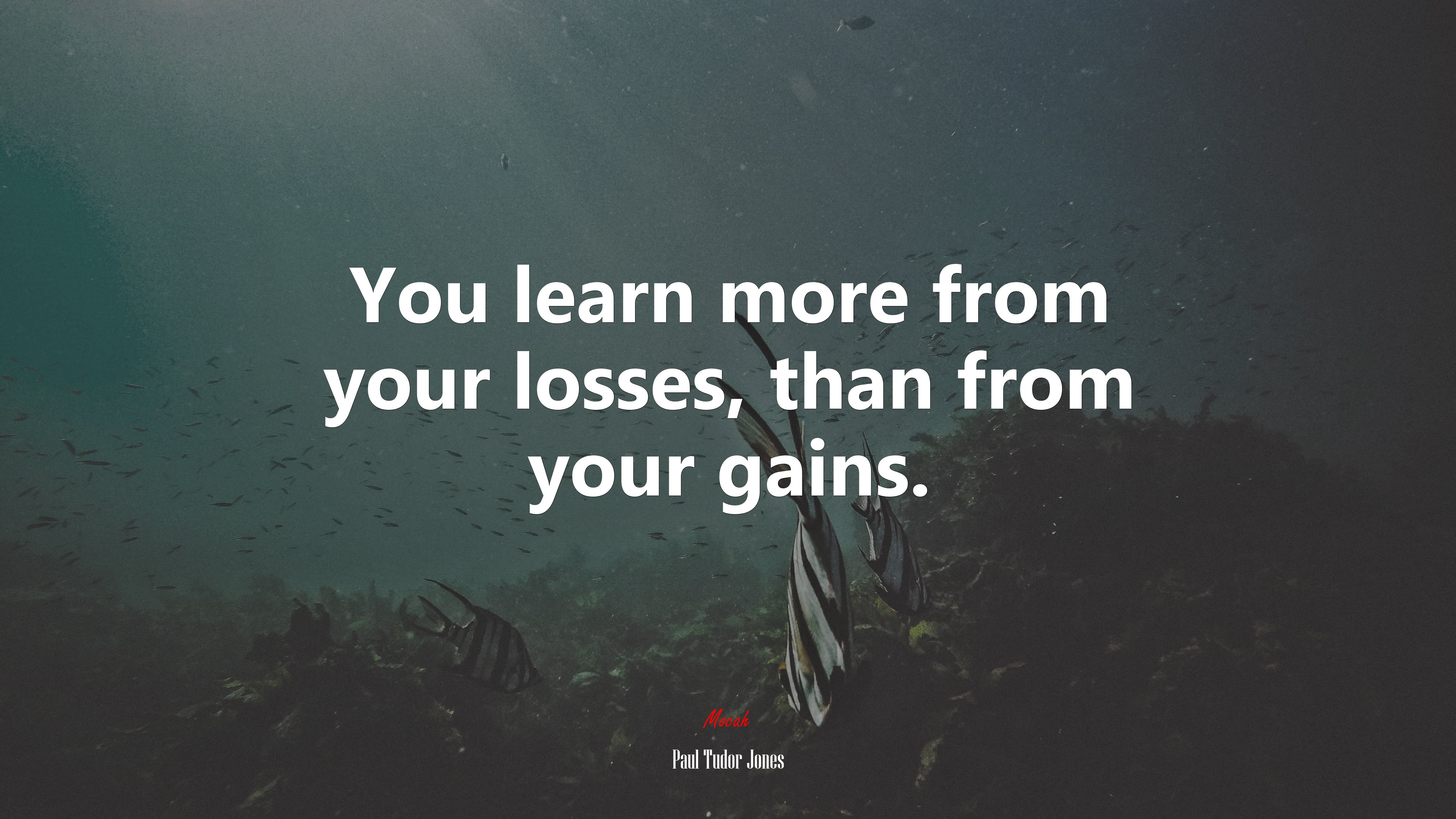 You learn more from your losses, than from your gains. | Paul Tudor Jones quote HD Wallpaper