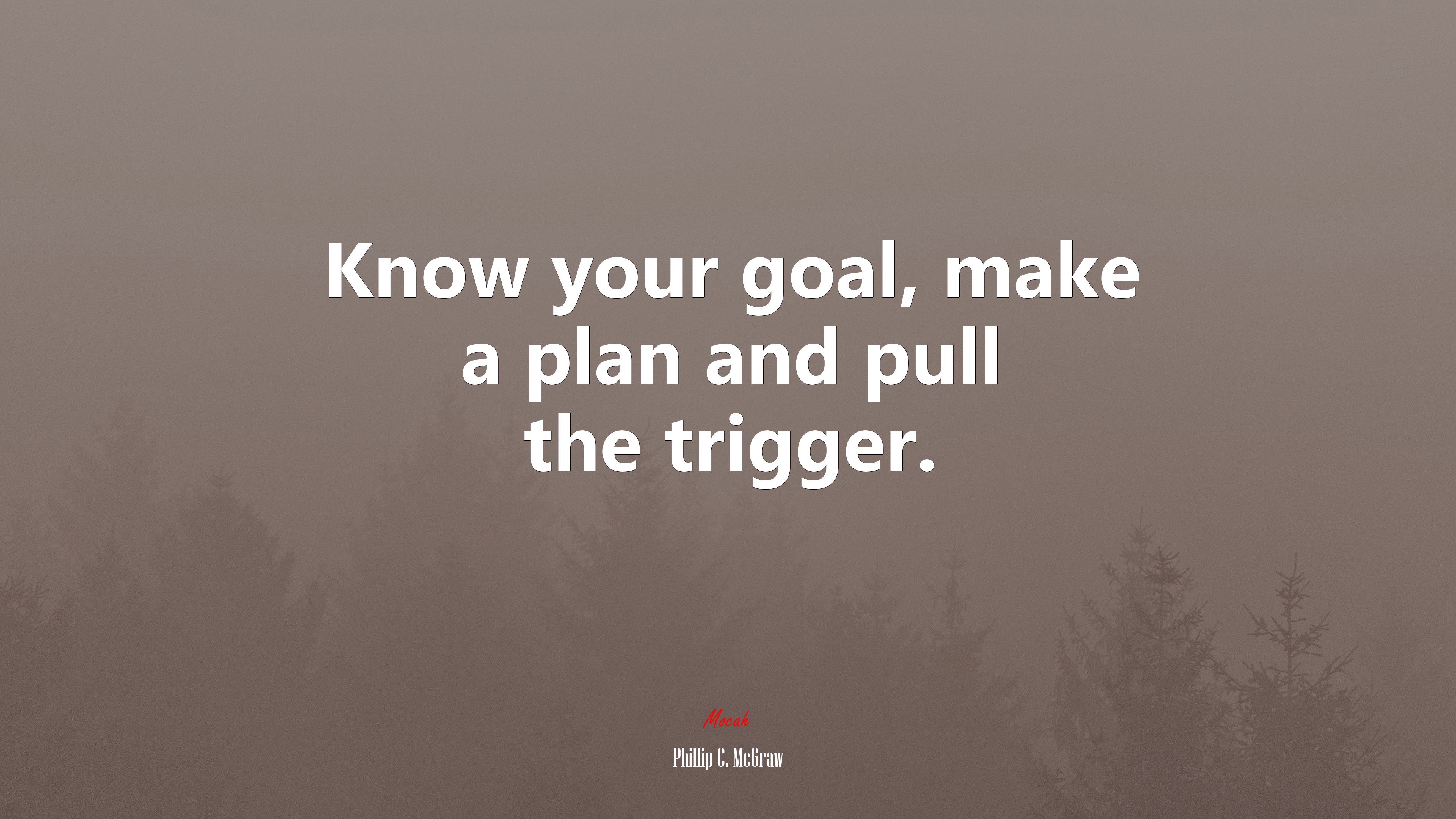 Know your goal, make a plan and pull the trigger. | Phillip C. McGraw quote HD Wallpaper