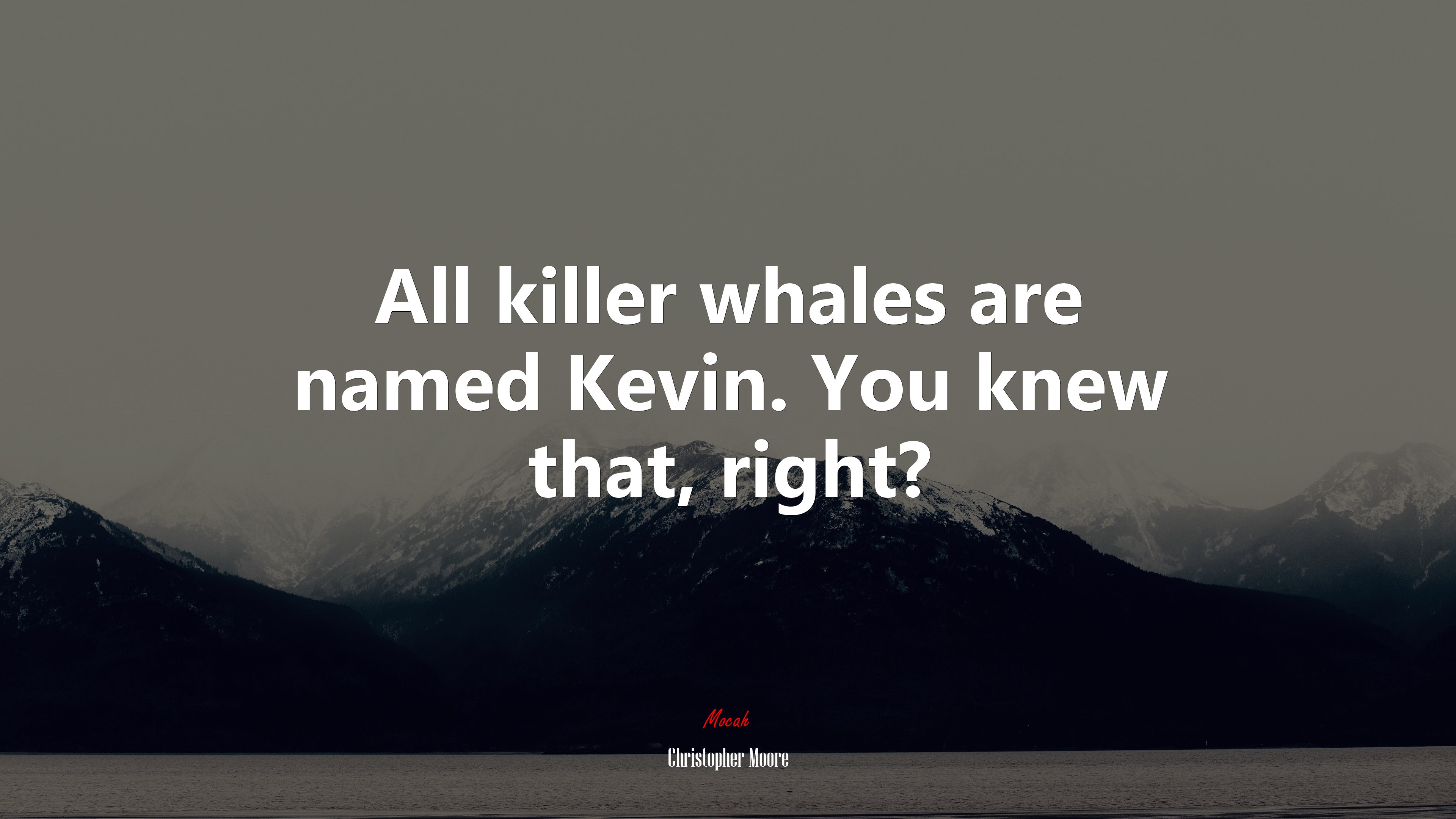 All killer whales are named Kevin. You knew that, right? | Christopher Moore quote HD Wallpaper