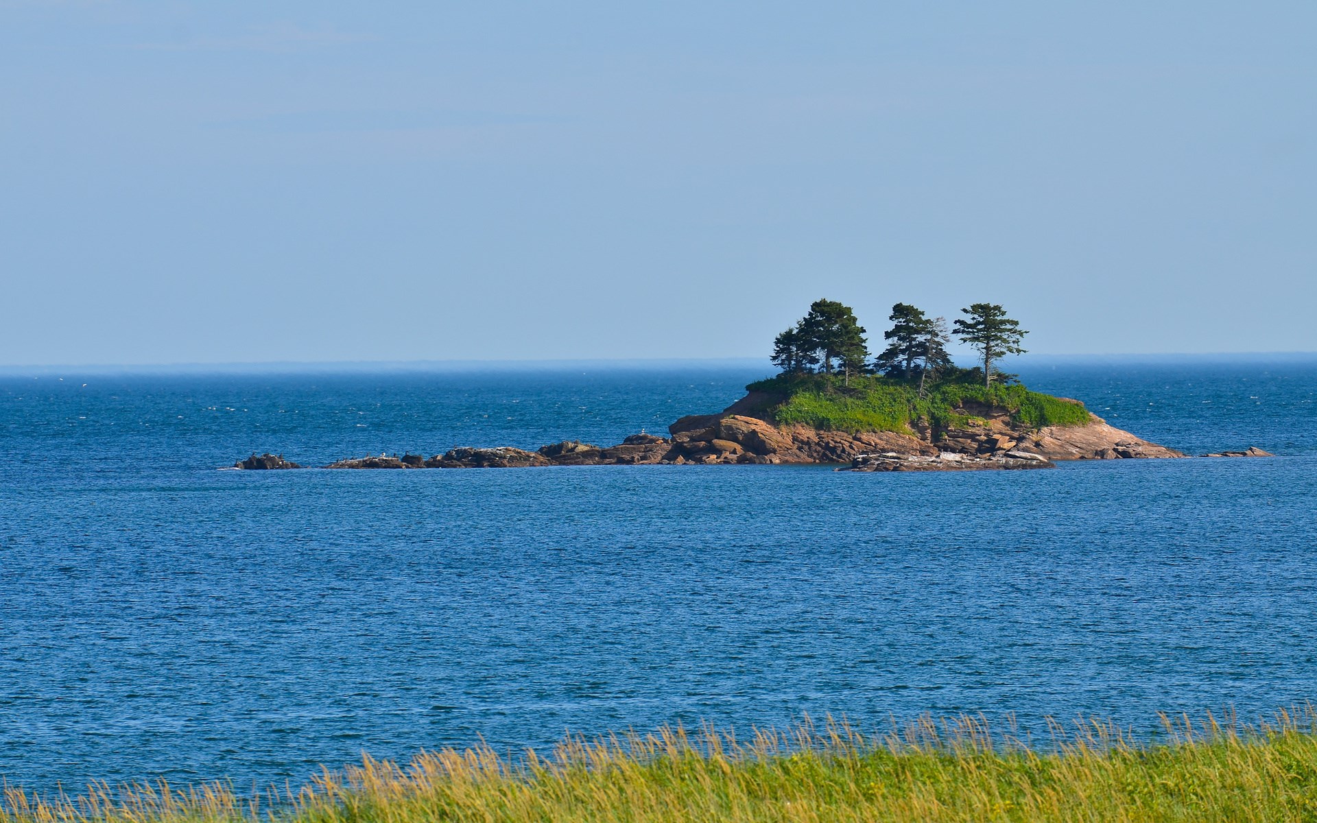 Island with trees in the ocean HD Wallpaper