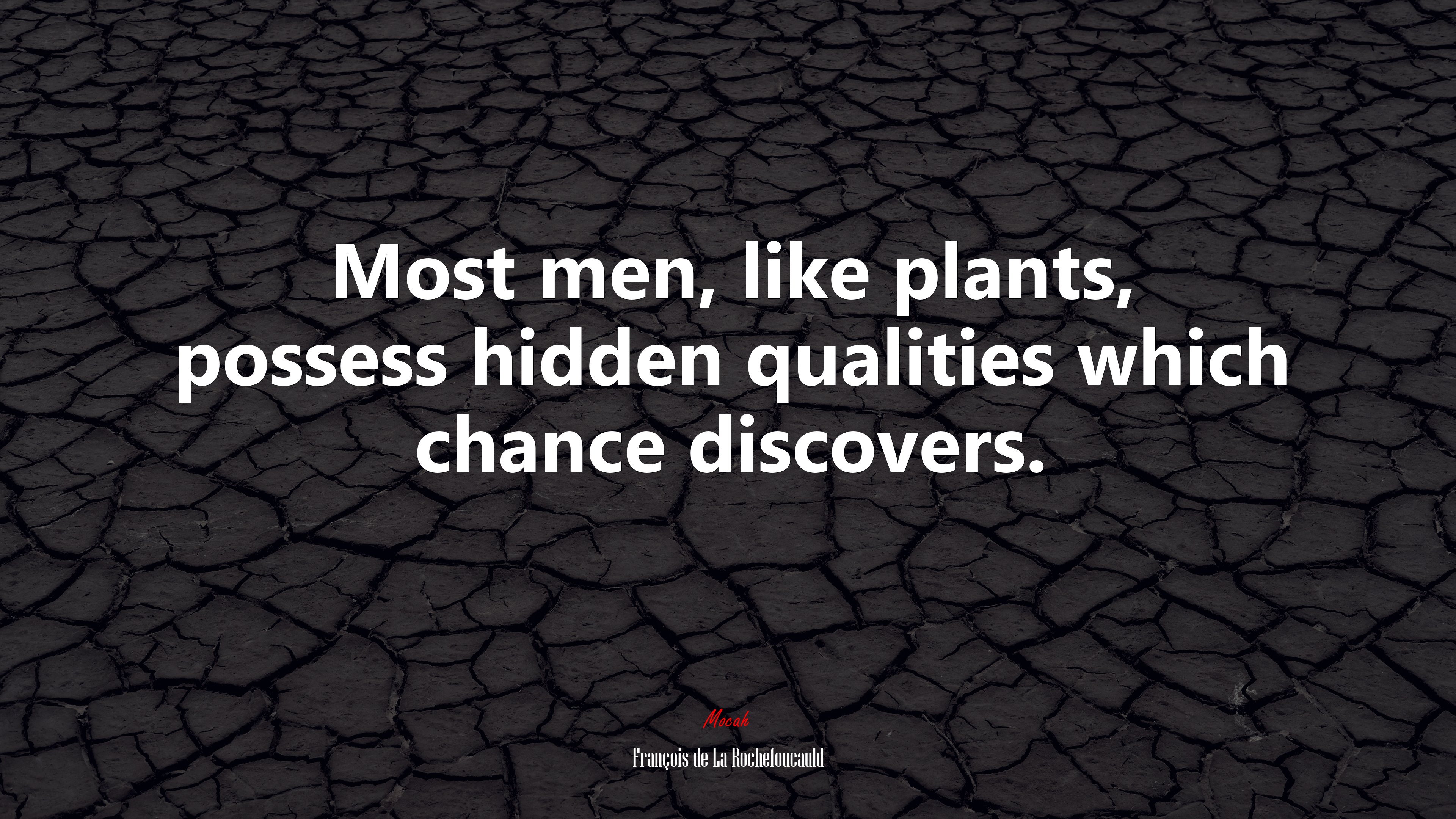 Most men, like plants, possess hidden qualities which chance discovers. | François de La Rochefoucauld quote HD Wallpaper