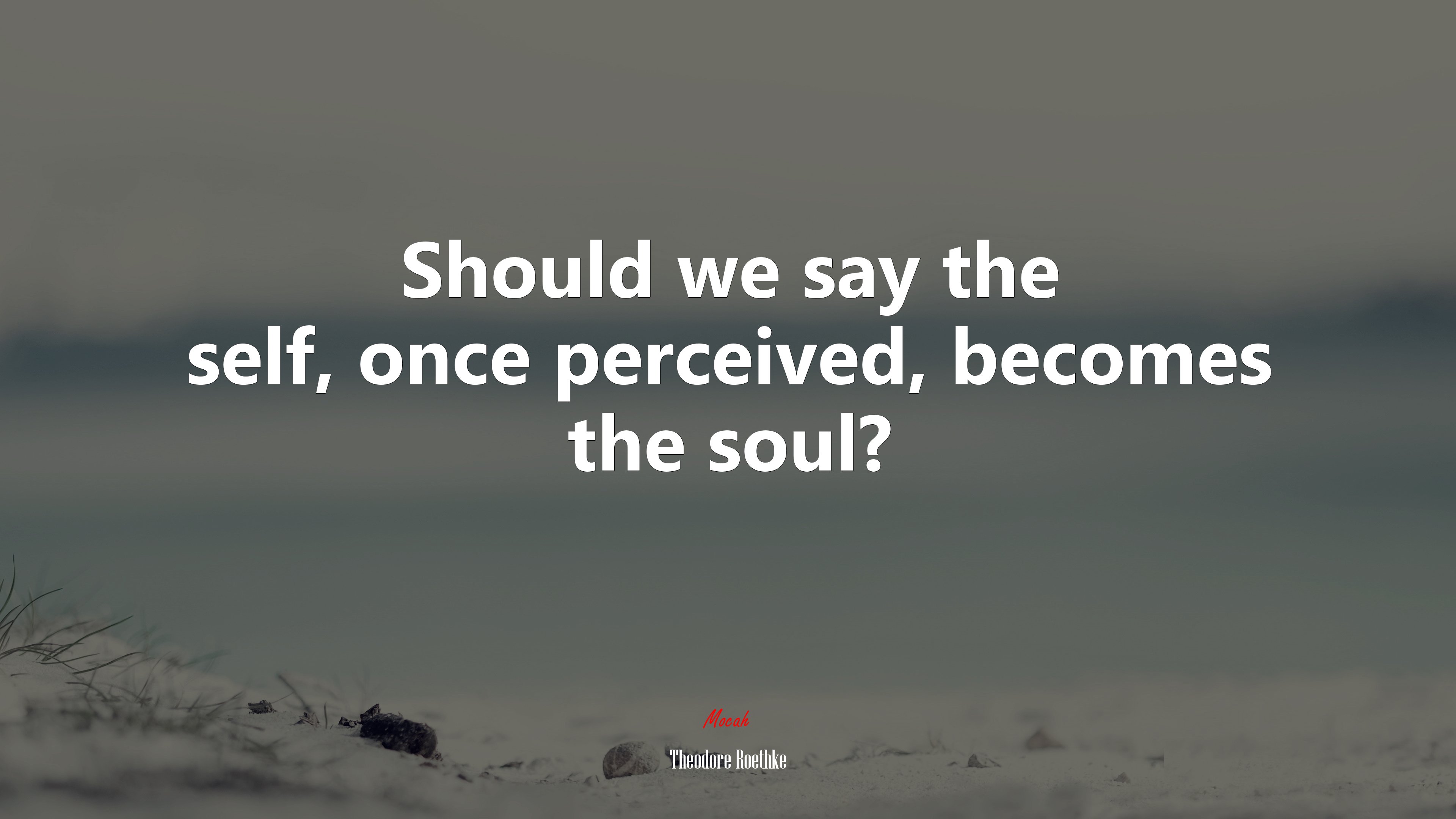 Should we say the self, once perceived, becomes the soul? | Theodore Roethke quote HD Wallpaper