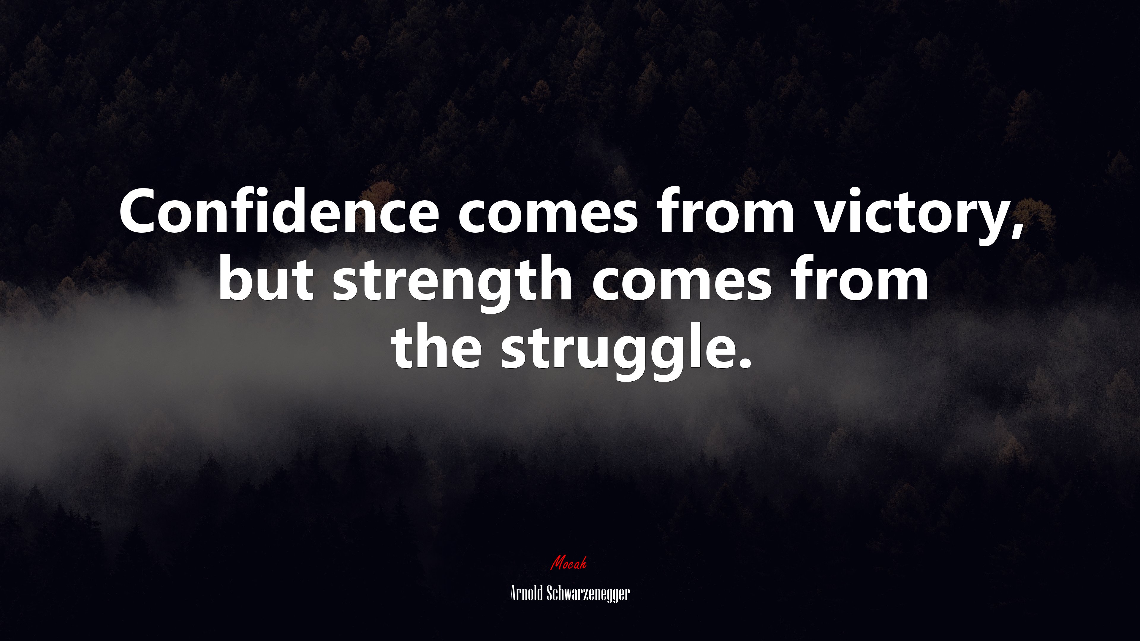 Confidence comes from victory, but strength comes from the struggle. | Arnold Schwarzenegger quote HD Wallpaper