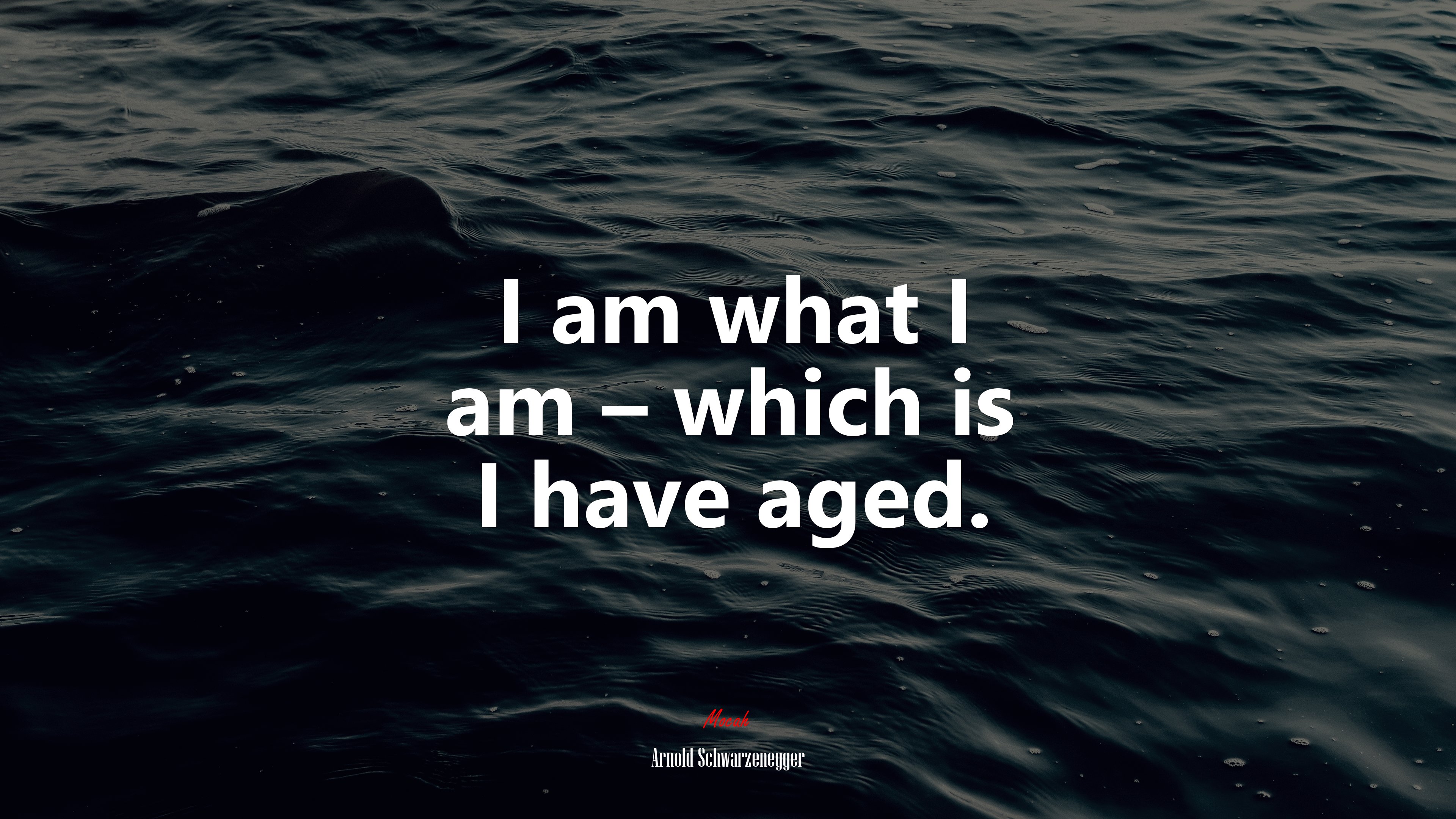 I am what I am – which is I have aged. | Arnold Schwarzenegger quote HD Wallpaper