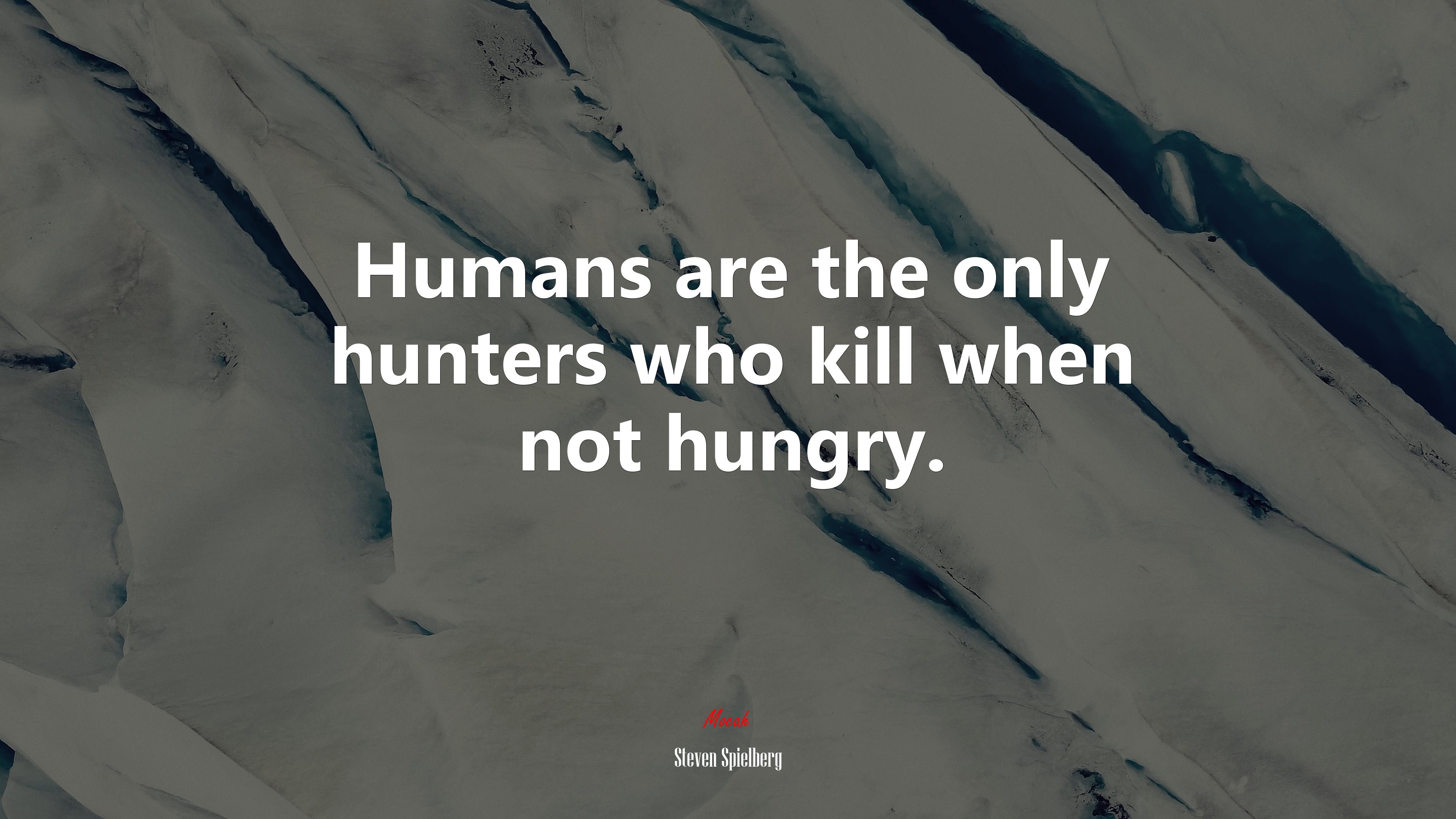Humans are the only hunters who kill when not hungry. | Steven Spielberg quote HD Wallpaper
